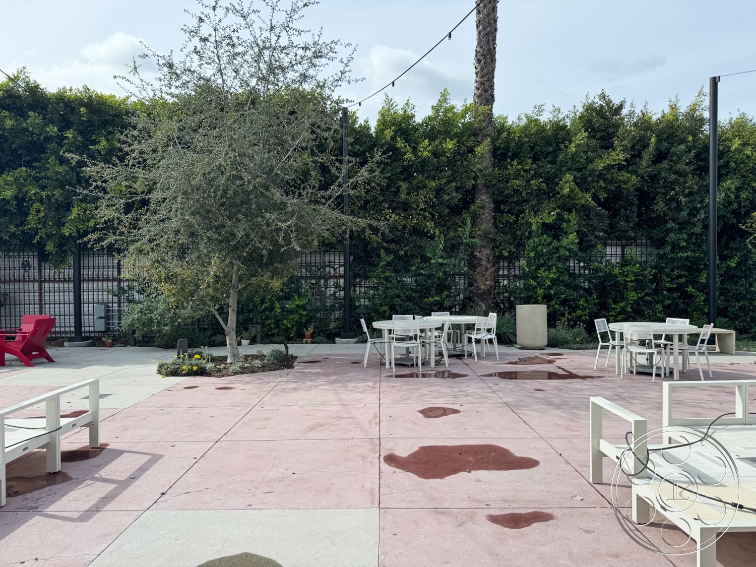 Studio 101 - wooden planter boxes, outdoor lounge area, woven outdoor chairs, metal patio furniture, green foliage backdrop, urban garden setting, minimalist outdoor design, exterior patio flooring, landscaped garden borders, rectangular outdoor seating area, modern outdoor dining set, desert climate landscaping, pink concrete patio floor, textured outdoor walls, ornamental tree planting, rustic outdoor style, contemporary outdoor table, hanging outdoor lights, structured greenery walls