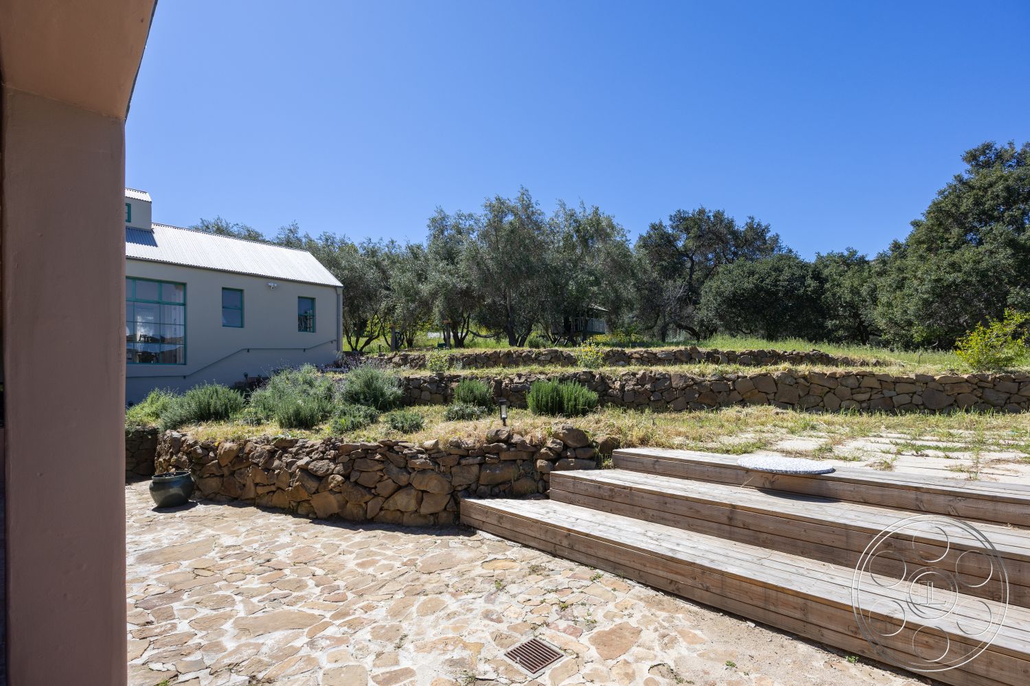 Casa del Rey - large windows, metal roof, exterior stone patio flooring, modern farmhouse architecture, rectangular stone pavers, natural sunlight exposure, exterior wood steps, exposed stone retaining wall, open landscape setting, surrounding olive trees