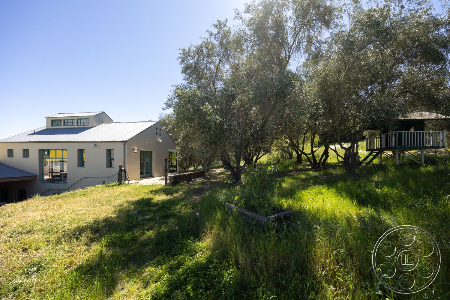 Casa del Rey - large windows, exterior, open floor plan, greenery accents, patio area, covered porch, metal roof, outdoor steps, stone retaining wall, stucco exterior walls, modern farmhouse architecture, natural grass lawn, olive trees setting, landscape surrounding, view of rolling hills