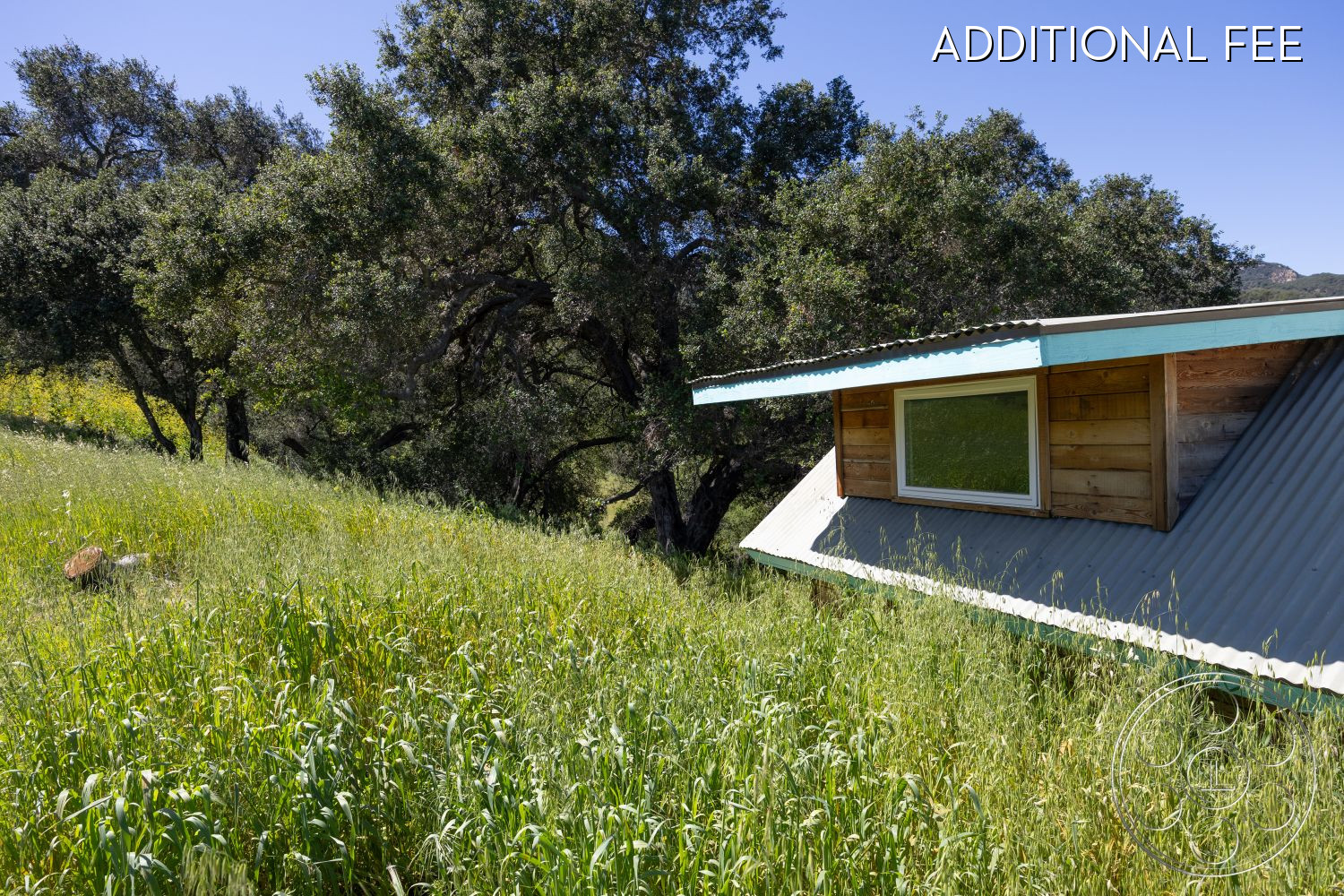 Casa del Rey - exterior, large window, wood siding, minimalist design, eco-friendly materials, natural wood finishes, rustic architecture, sloped roof, metal roofing, mountain view setting, surrounded by tall grass, moderate tree coverage