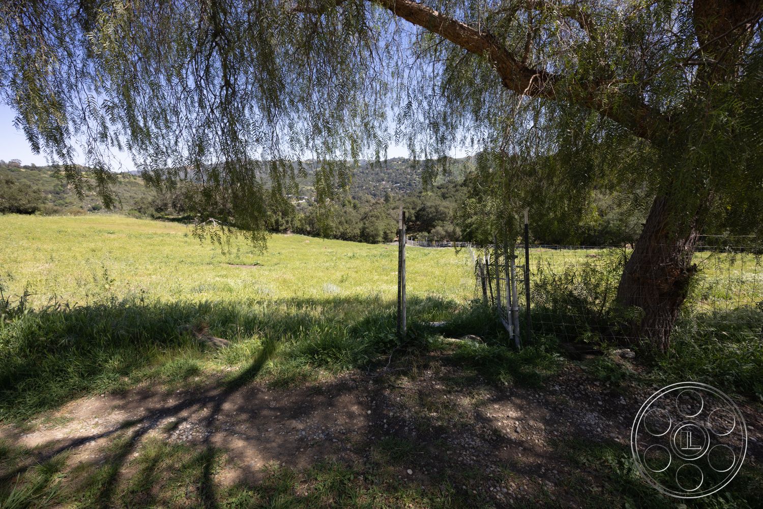 Casa del Rey - exterior, dirt path, natural landscape, mountain view, surrounding hills, wildflower patches, scenic vista, large shade tree, tranquil outdoor environment, sunlit open space, rural countryside setting, lush green grass field, wire fence, grazing land