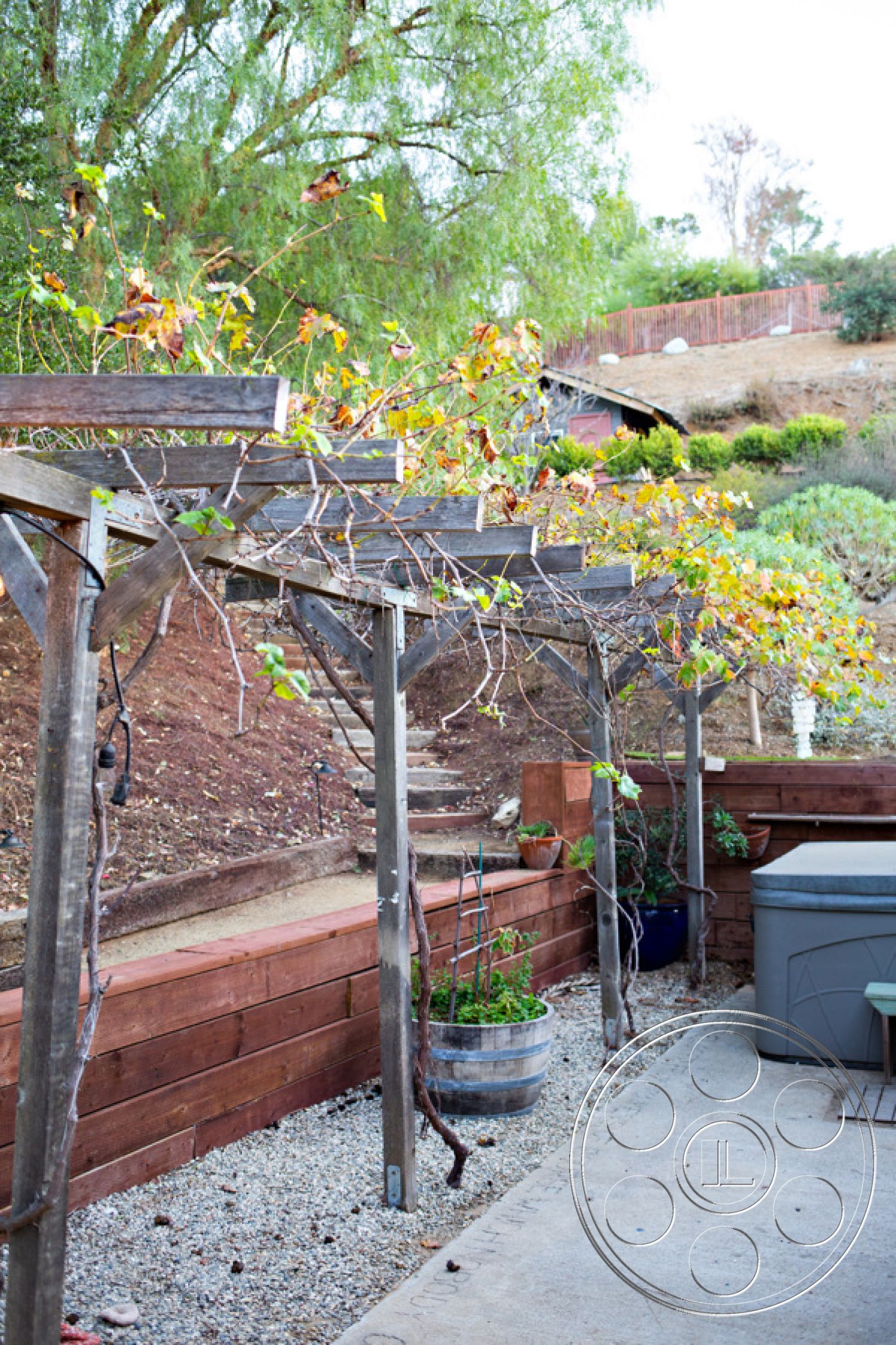 Ranch 33 - landscaped hillside, gravel patio flooring, outdoor garden setting, sunlit outdoor space, exterior garden space, comfortable outdoor seating, wood trellis structure, rustic outdoor environment, redwood retaining wall, planter with potted plants, decorative wooden barrels, steps leading to elevated area, natural slope garden, vegetation around terrace, gentle slope landscaping