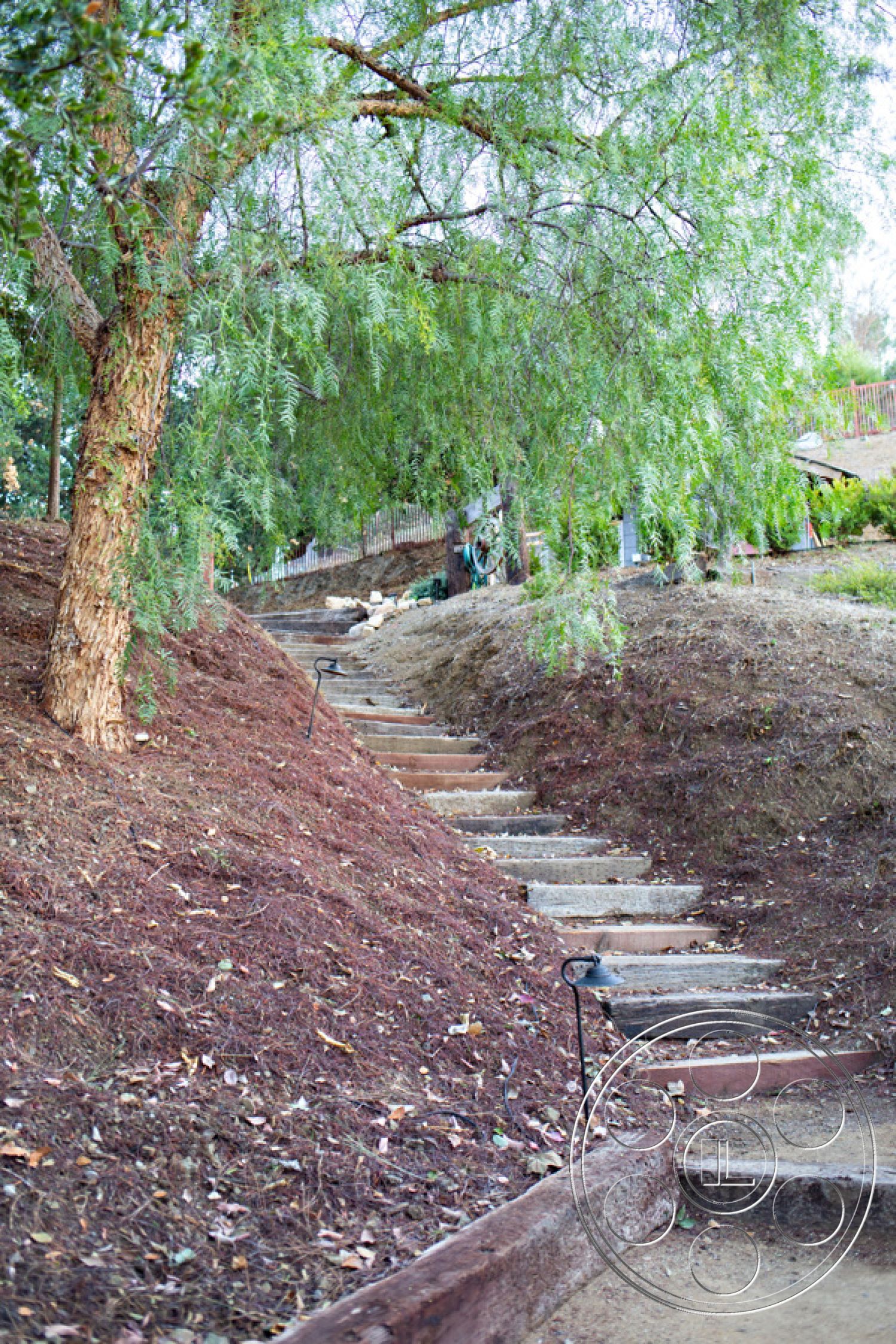 Ranch 33 - wooden railing, natural stone steps, hillside garden, residential garden setting, tranquil outdoor environment, naturalistic landscape design, exterior stone step pathway, landscaped hillside steps, softscape mulch ground cover, light fixture path lighting, willow tree canopy, slope garden design, curved path arrangement, outdoor pathway lighting, earthy textured terrain