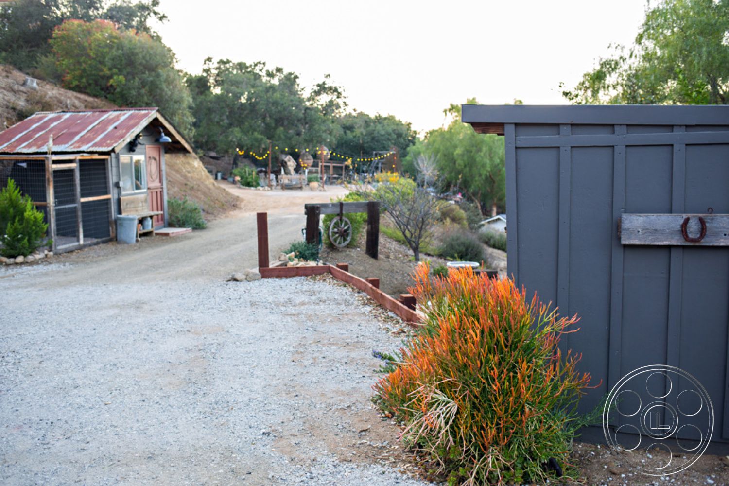 Ranch 33 - gravel driveway, weathered wood fence, natural hillside setting, desert plant landscaping, rustic shed exterior, metal roof shed, dark painted barn wood, landscaped native shrubs, string lights outdoor decor, exposed earth paths, pastoral rural views, wooden wheel decorative element, dry creek bed landscaping, vintage horse shoe ornament, open space outdoor area, partially treed environment, rustic farmhouse aesthetic, exterior rustic charm