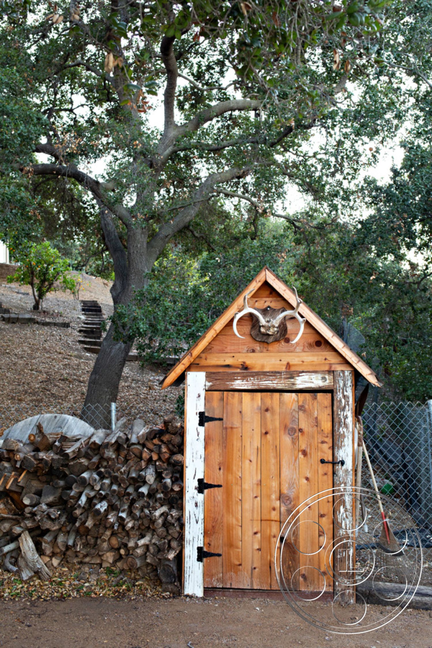Ranch 33 - rustic design elements, forest backdrop, gravel ground surface, outdoor utility space, wooden shed exterior, shingled roof with gable shape, wood paneling door, antler decoration on roof, rough-hewn wooden texture, stacked firewood storage, natural setting with trees
