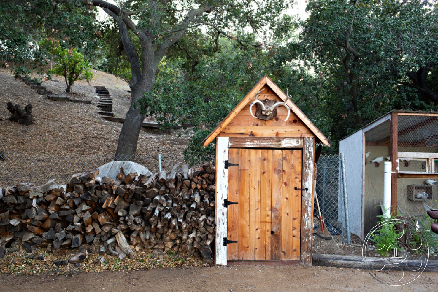 Ranch 33 - gravel landscaping, surrounding oak trees, wood garden shed exterior, sloped hillside setting, nature-inspired architecture, stacked firewood storage, rustic wooden door with wrought iron hardware, natural wood siding with weathered finish, triangular gabled roof, exposed wood beams accent, fenced backyard area, country-style shed, open-air storage structure, decorative antler accent above door