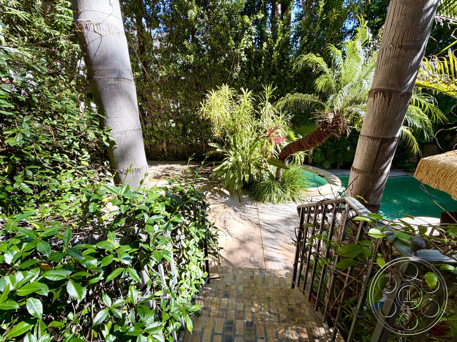 Medit 167 - curved swimming pool, sun-drenched outdoor space, palm tree landscaping, landscaped garden with tropical plants, exterior concrete patio flooring, lush greenery surrounding the pool area, brick pathway steps, decorative iron railings, natural light filtering through foliage, garden retreat setting, serene backyard oasis, trendy outdoor living area, relaxed patio environment