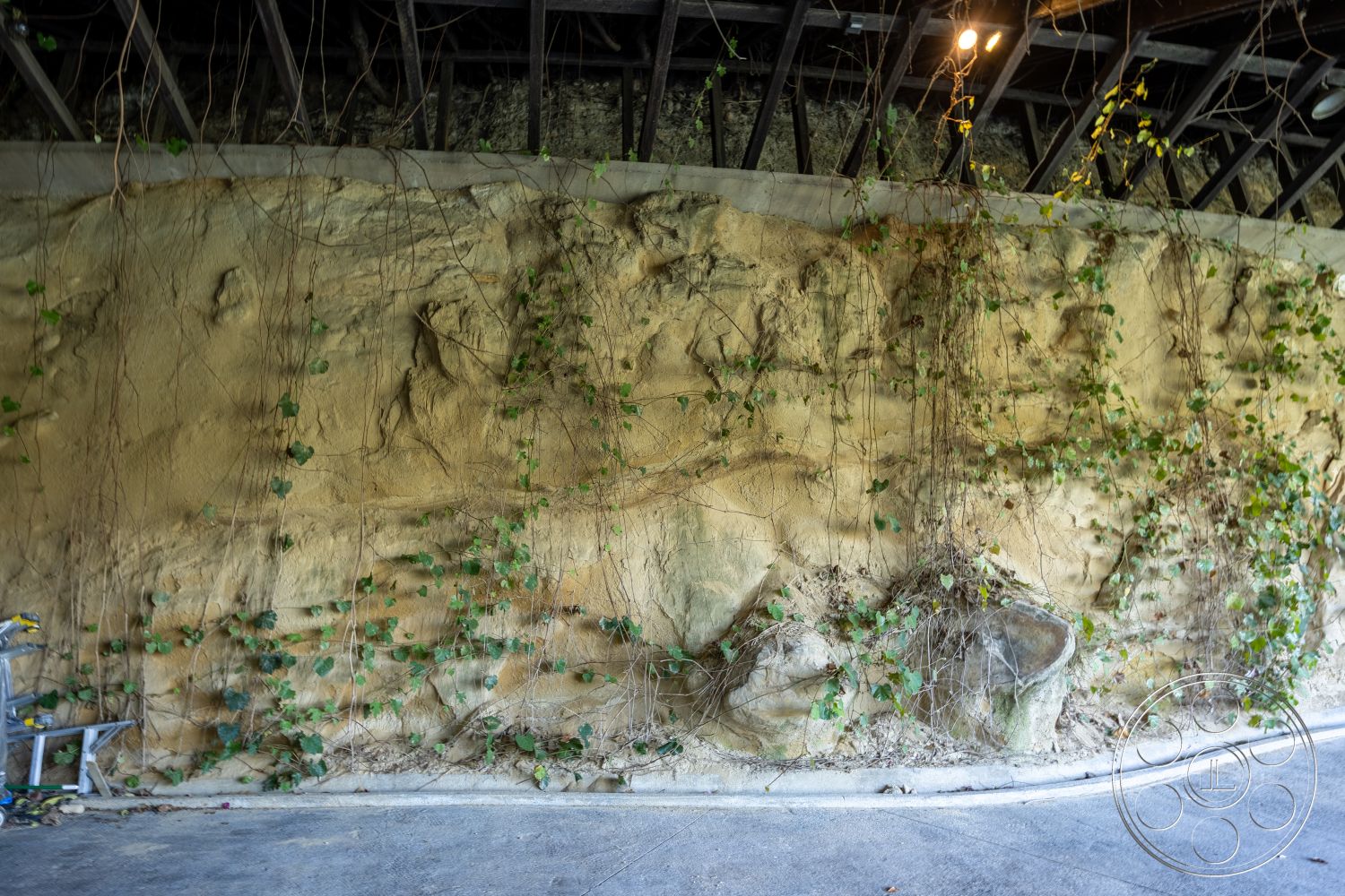 Silvertop House - exposed wood ceiling beams, interior textured plaster wall, interior ambient lighting, interior concrete floor, interior rustic design elements, interior exposed rock wall, interior natural stone wall, interior ivy-covered wall, interior natural landscape integration, interior cave-like ambiance, interior organic material use, interior earthy color palette