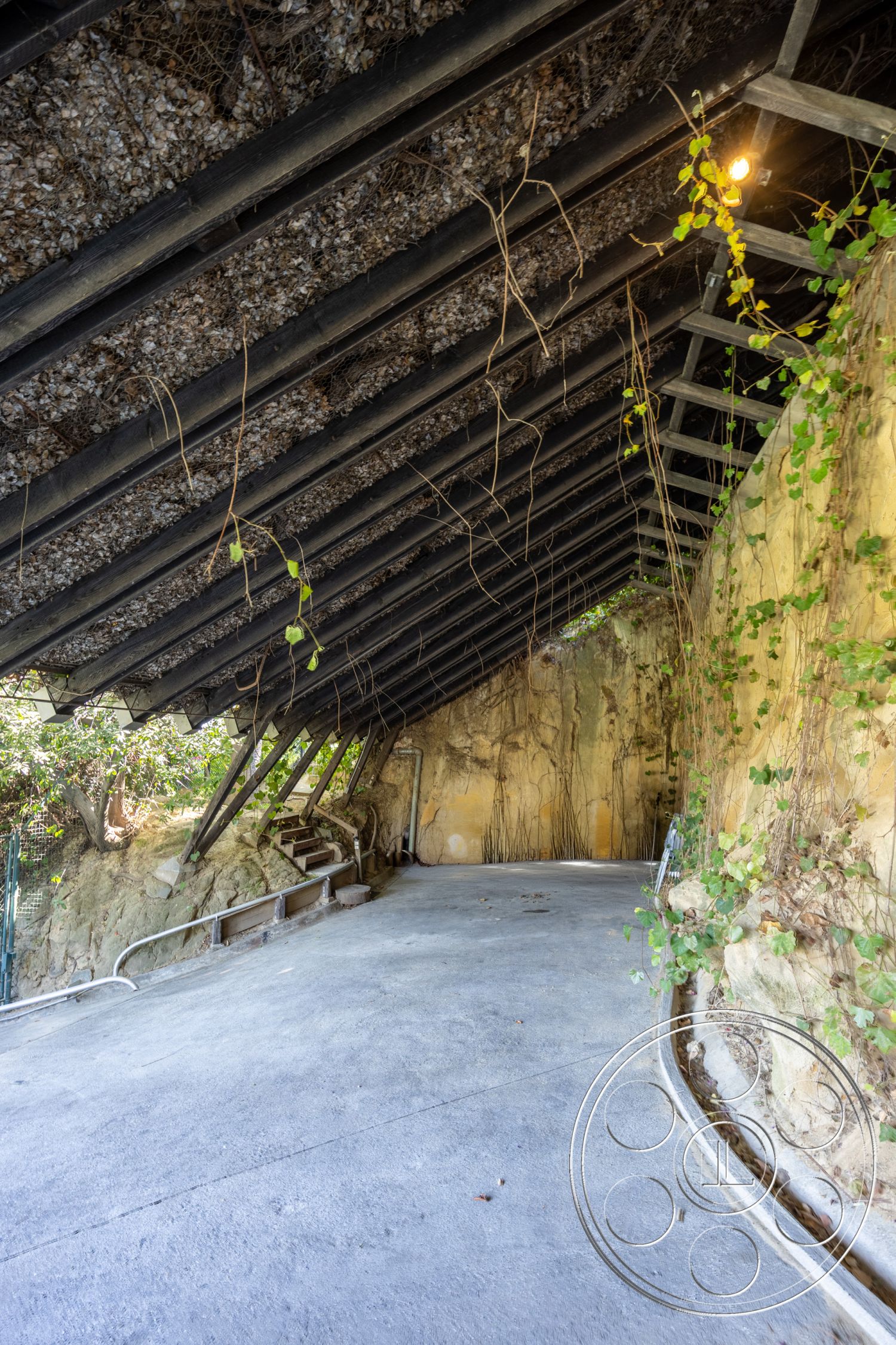 Silvertop House - modern architecture, curved driveway, natural stone wall, exposed wood ceiling beams, concrete driveway surface, vaulted ceiling with black beams, green ivy wall treatment, interior carport, rustic natural setting, architectural details with organic integration