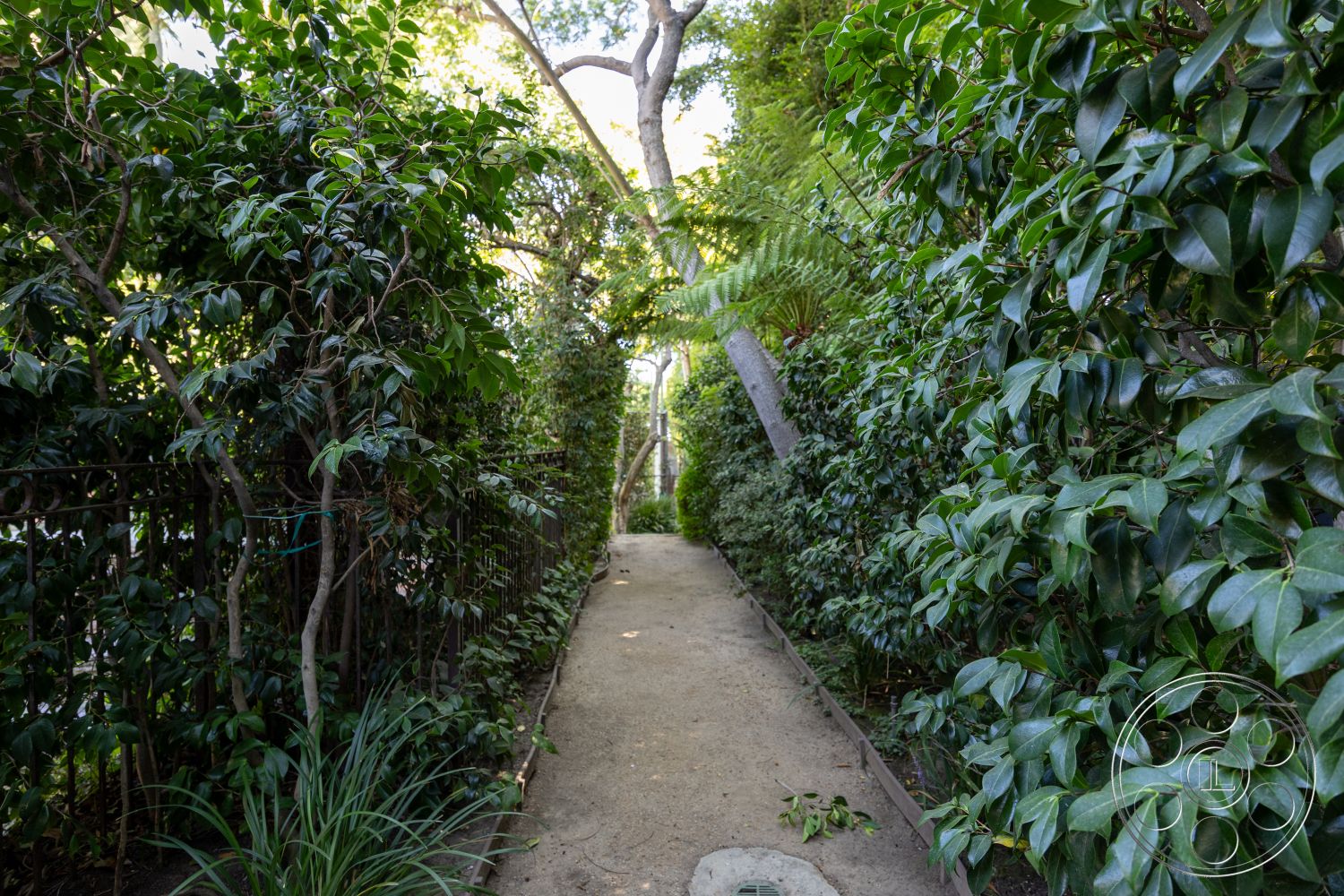 Americana 48 - exterior, lush greenery, landscape design, garden pathway, iron fence, tall hedges, dense foliage, sand pathway, overhanging tree branches, natural path