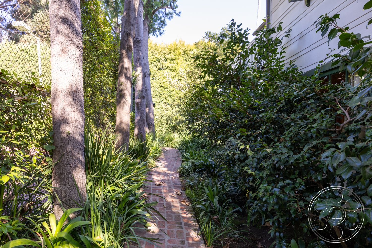 Americana 48 - exterior, lush greenery, brick pathway, tall trees, garden space, natural landscape setting, wood siding exterior, dense shrubs, pathway lined with ferns, sunlit garden pathway