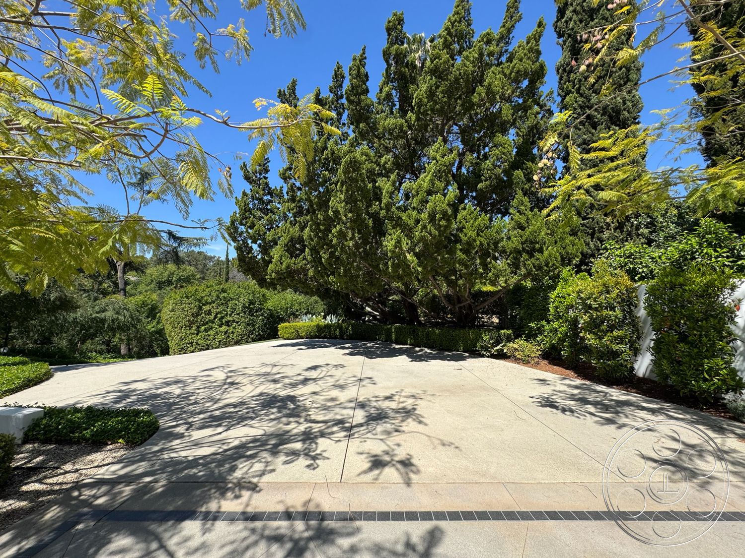 Modern 522 - exterior, native trees, concrete driveway, curved driveway, tropical landscaping, gravel ground cover, stone edging, landscaped garden borders, textured concrete finish, sunlight casting shadows, shrubs and hedges