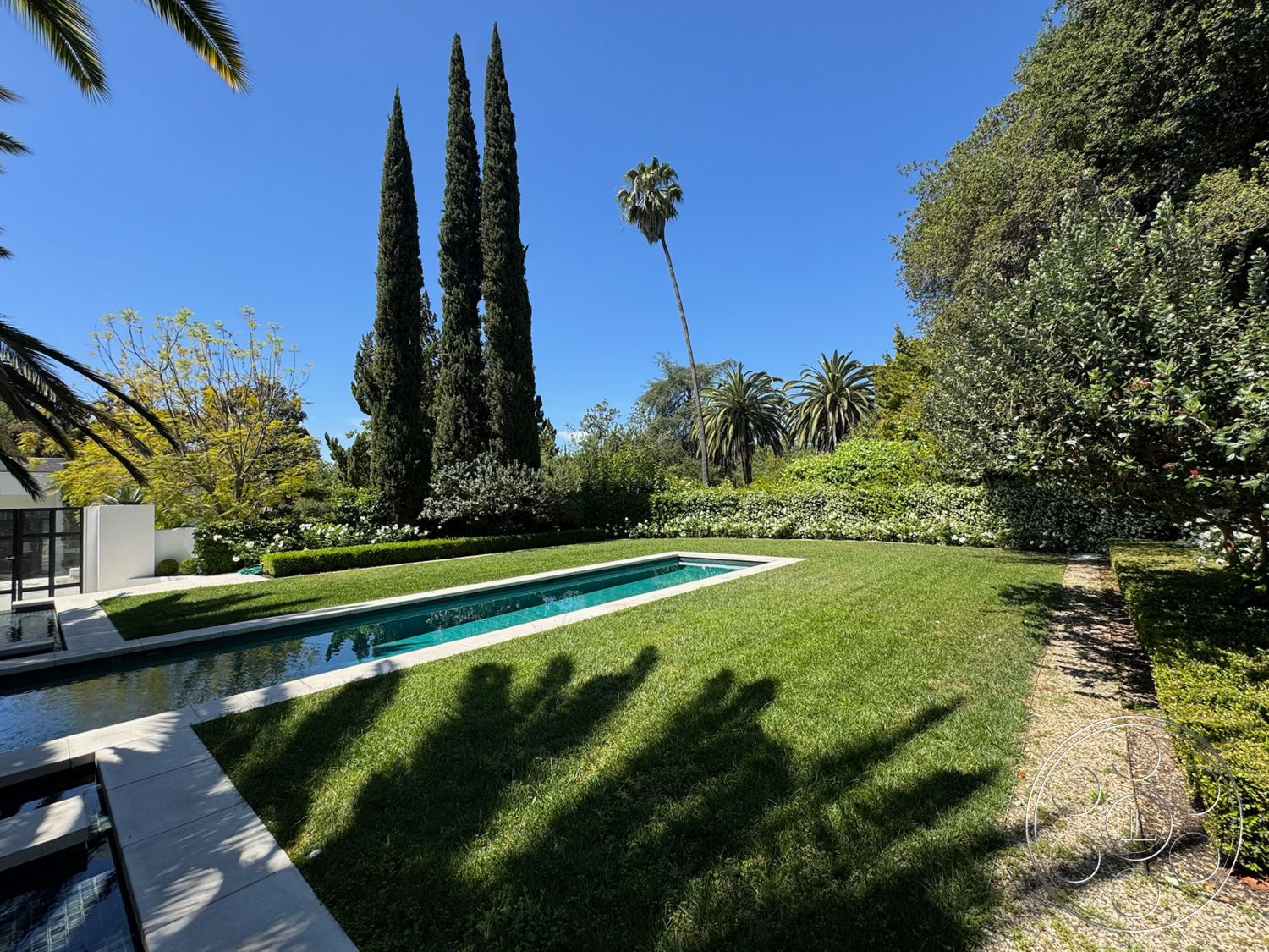 Modern 522 - exterior, palm trees, rectangular swimming pool, lush green lawn, clear blue sky, tropical landscaping, cypress trees, hedge border, stone pool border