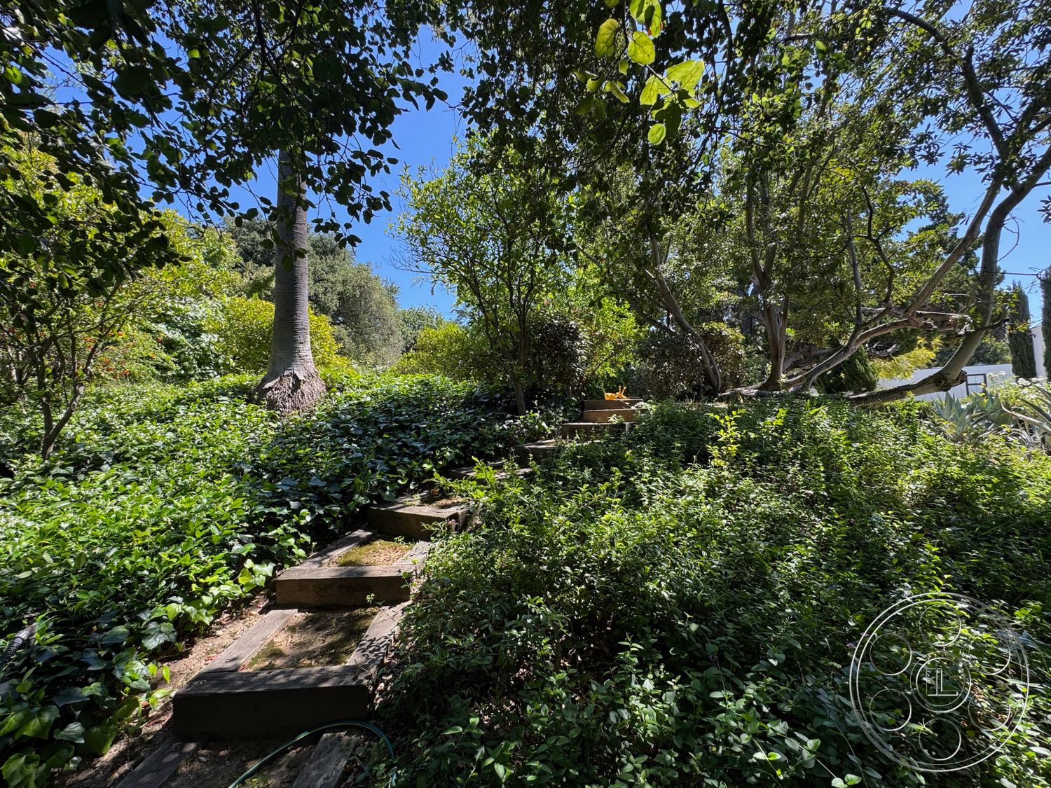 Modern 522 - exterior, natural stone pathway, mature tree canopy, lush green foliage, sunlit garden setting, wooden garden steps, dense ivy ground cover