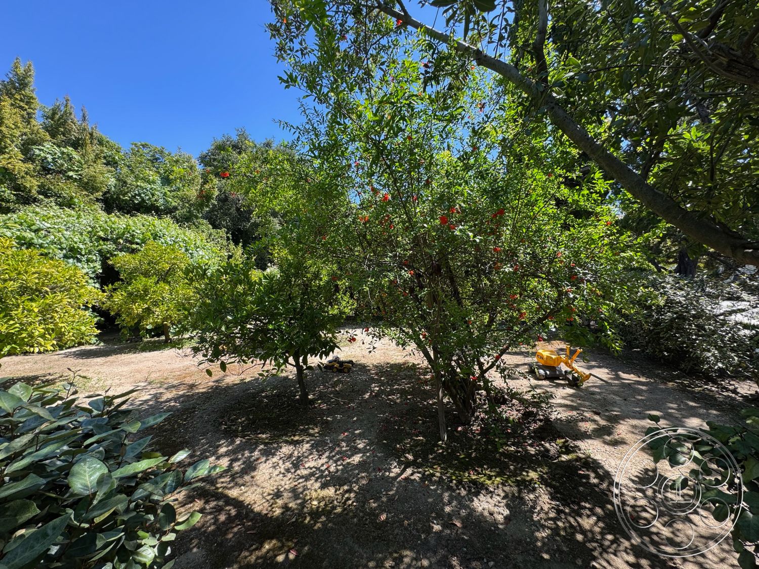 Modern 522 - exterior, lush green landscaping, flowering trees, dirt paths, sunny backyard setting, soil garden beds, scattered stones, small shrubbery, natural garden environment