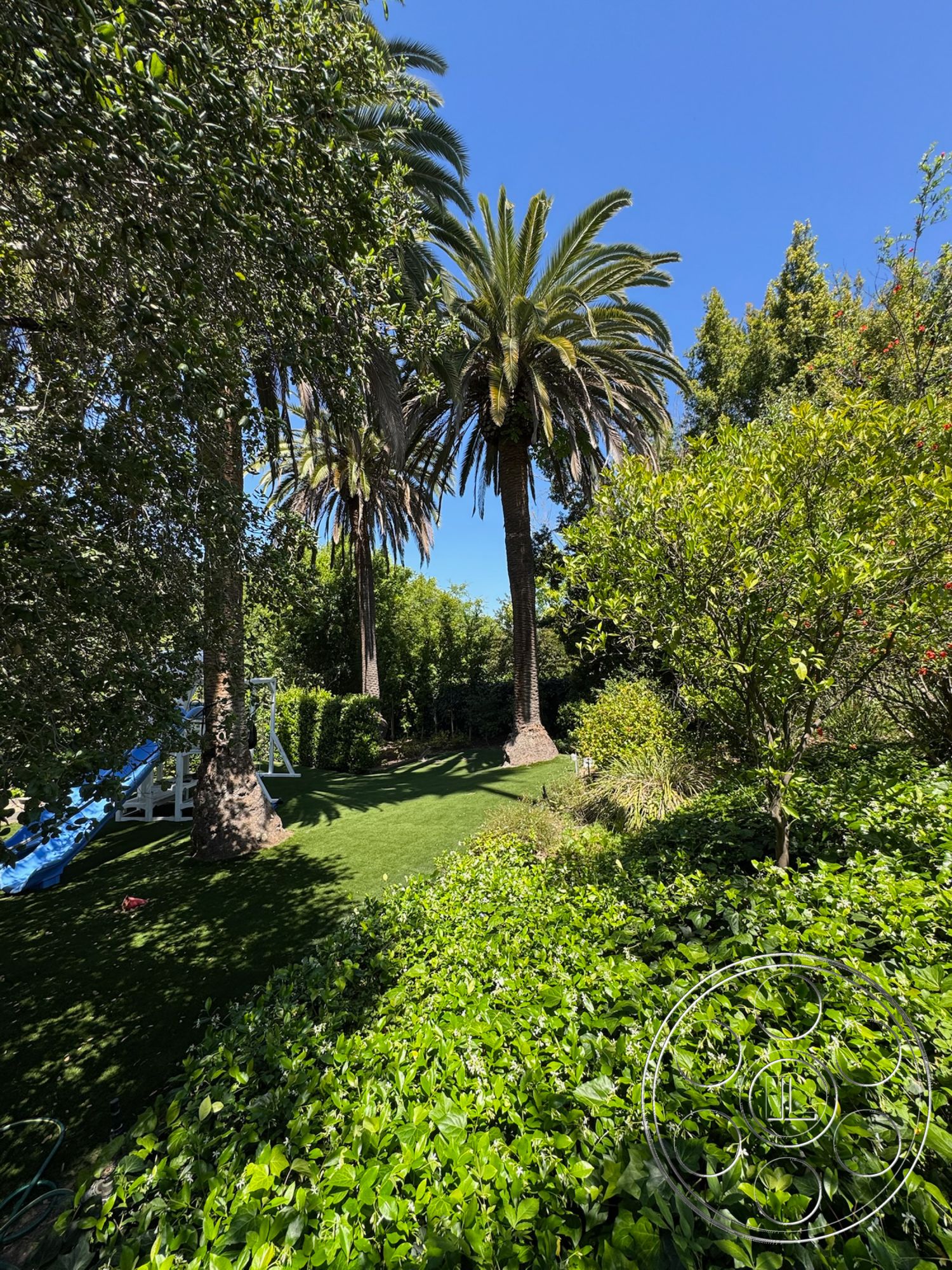 Modern 522 - exterior, flowering plants, tall palm trees, bright blue sky, lush green landscaping, artificial grass lawn, dense shrubbery, playground slide