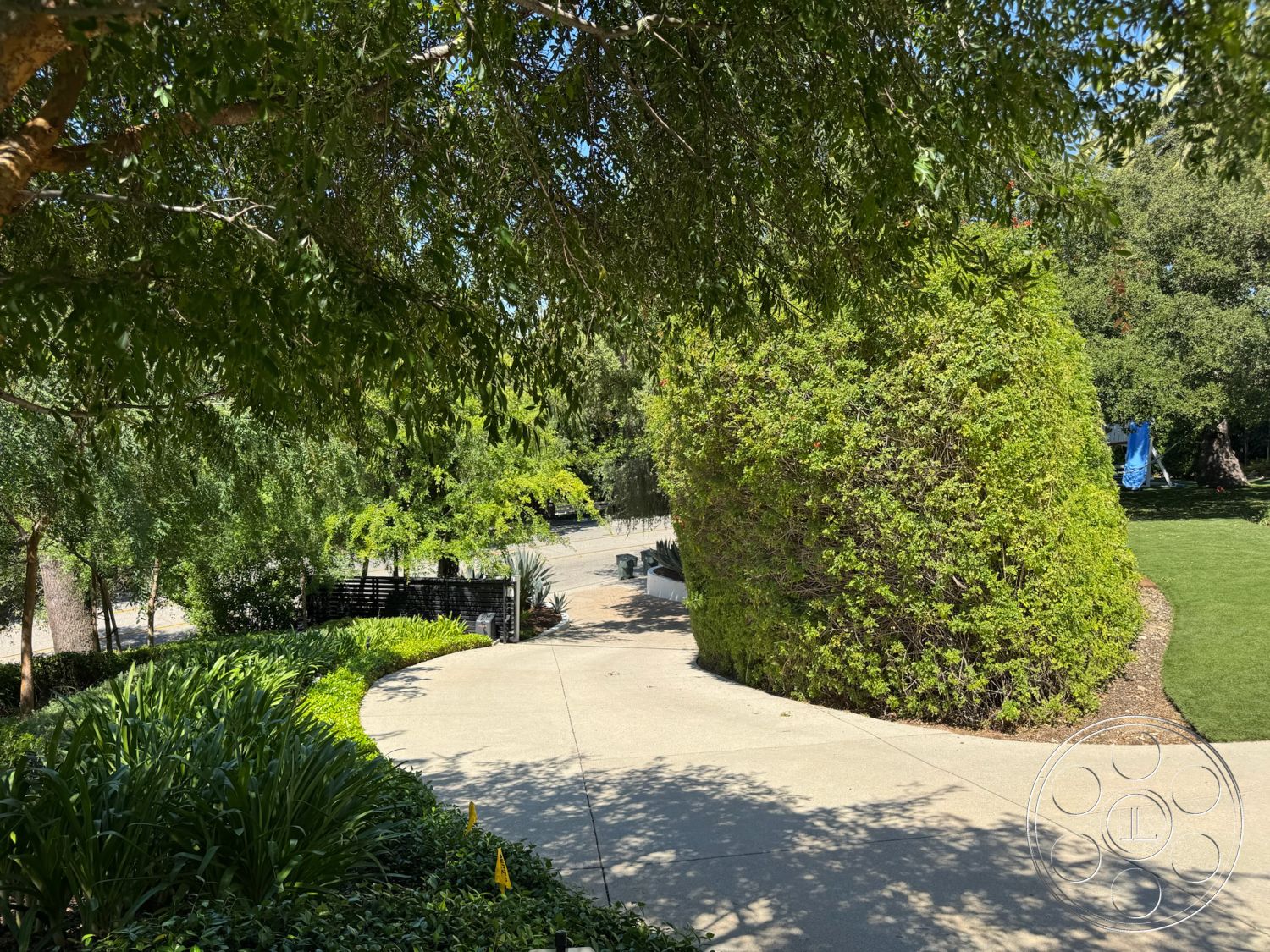 Modern 522 - exterior, tree canopy, stone pathway, tall hedges, well-manicured lawn, lush green landscape, curved concrete driveway, hardwood fence panels, decorative bushes