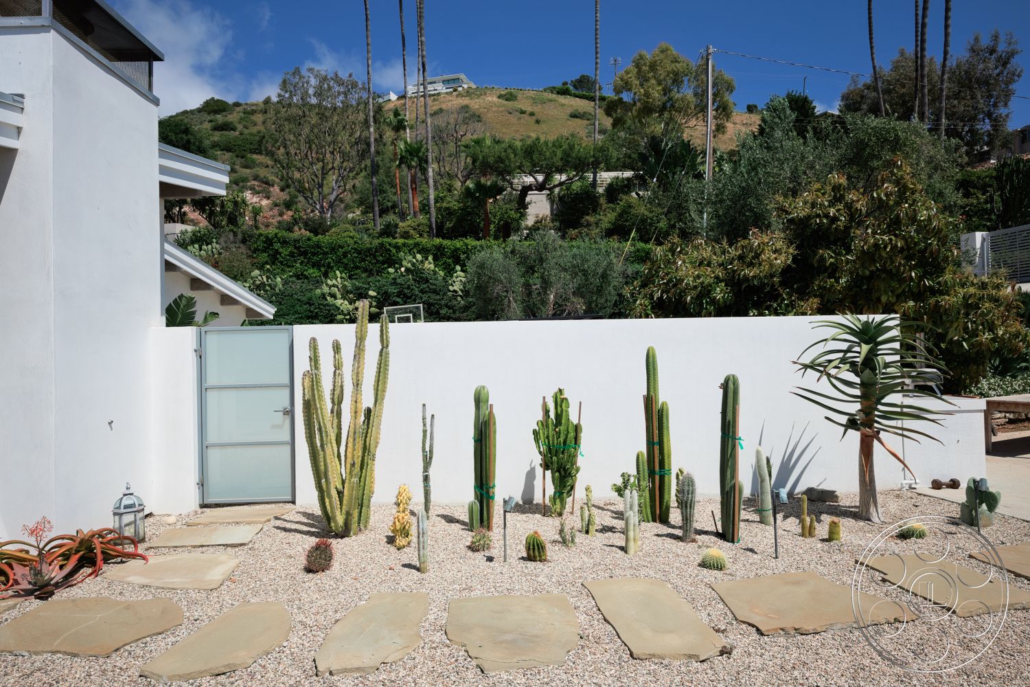 Modern 523 - exterior, white stucco walls, modern architectural style, desert landscaping, hillside location, gravel ground cover, flagstone pathway, cacti garden, glass garden gate, solid concrete fence