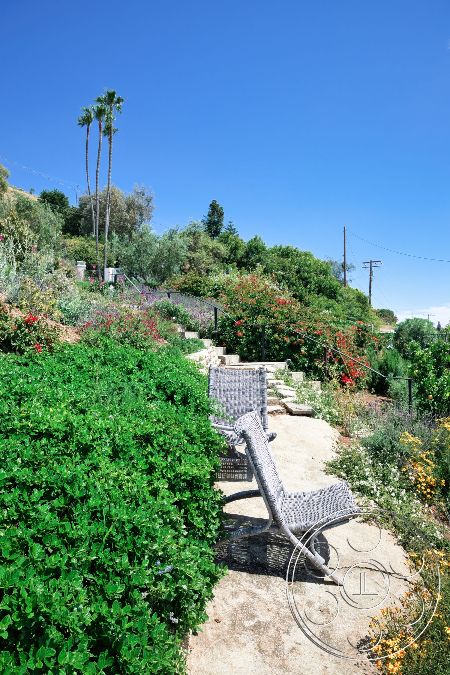 Modern 523 - exterior, clear blue sky, colorful flowering plants, natural stone pathway, tropical palm trees, lush green landscaping, woven outdoor lounge chairs, stepped garden terrace
