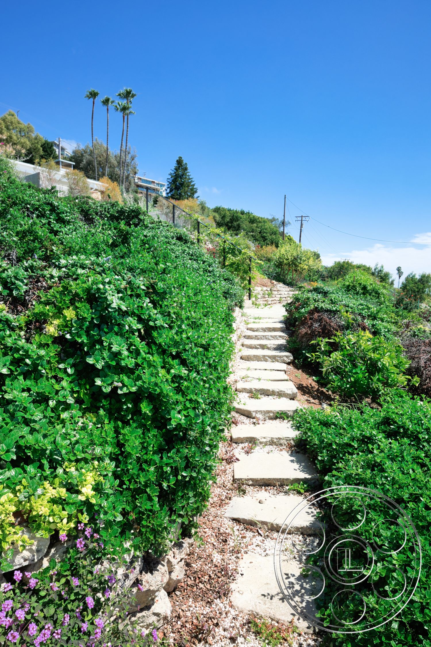 Modern 523 - exterior, landscaped hillside, garden setting, natural stone pathway, tropical vegetation, colorful flower beds, surrounding lush greenery, sunny outdoor environment, irregularly shaped stone steps, partial views of residential structures