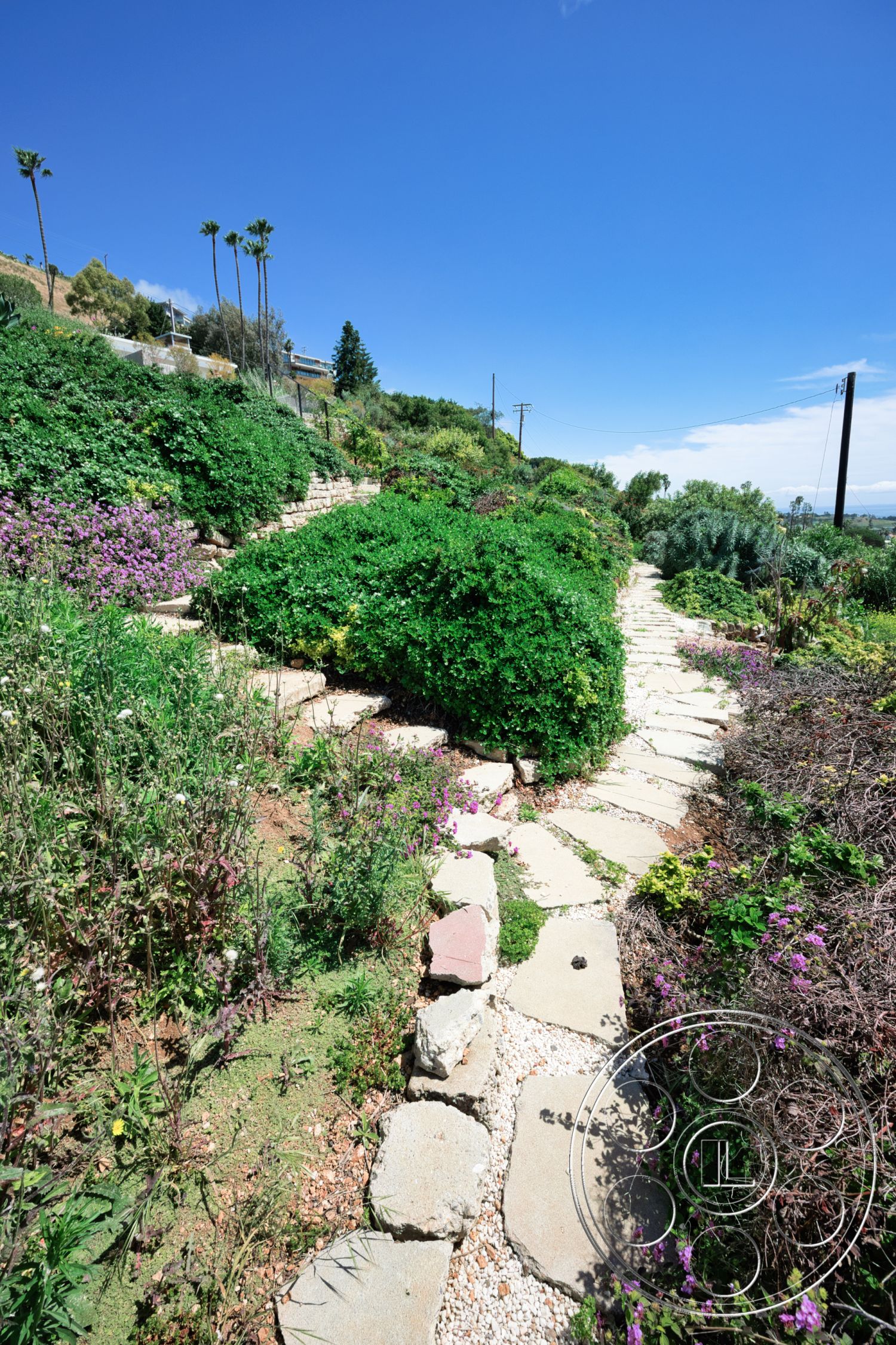 Modern 523 - landscaped garden, sloped terrain, tropical plants, stone pathway, green shrubbery, flowering plants, outdoor garden setting, natural stone stepping stones, patio area with landscaping
