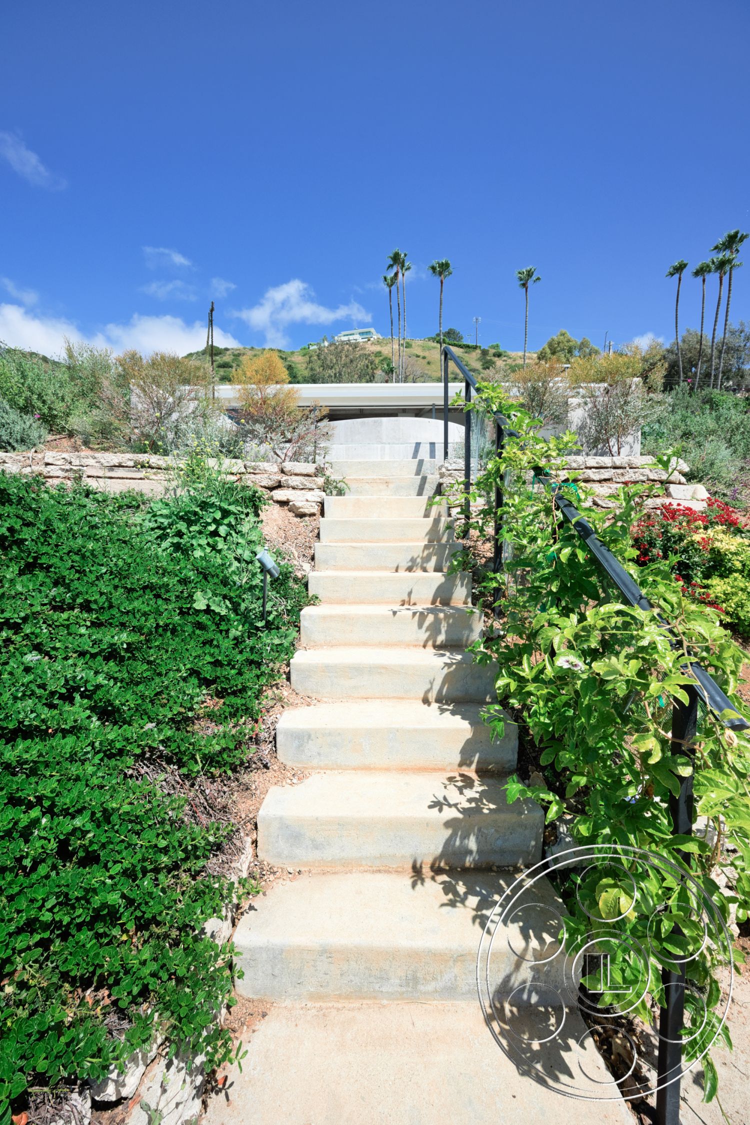 Modern 523 - exterior, landscaped garden, concrete steps, green shrubbery, natural stone wall, sunny hillside location, concrete stairway, railings with vertical posts, palm trees lining pathway