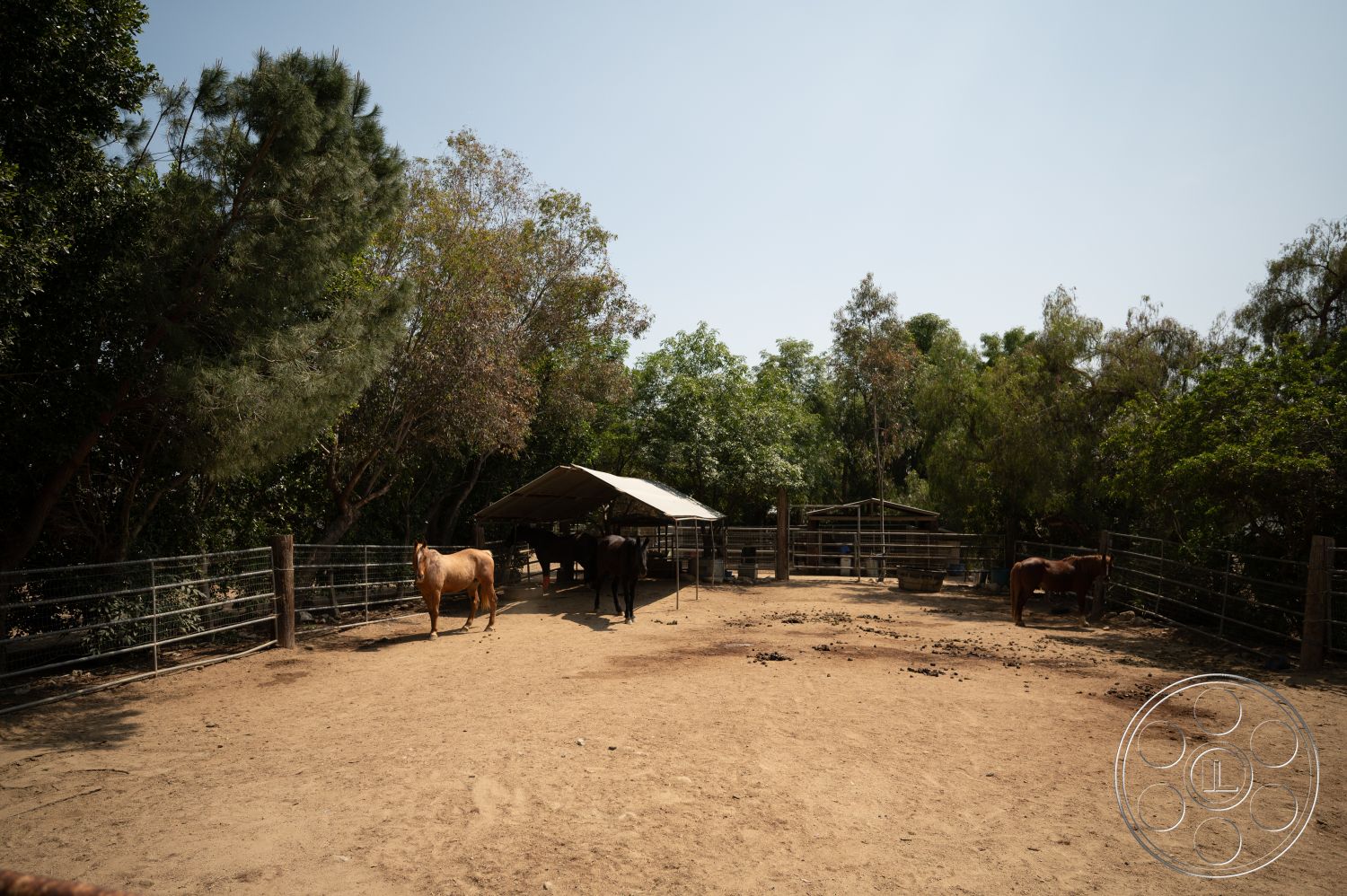 Ranch 6 - exterior, metal fence panels, dirt paddock flooring, timber posts, covered horse shelter, wooden horse corral, natural tree landscaping, sunlight filtered through trees, open agricultural setting, farmyard area