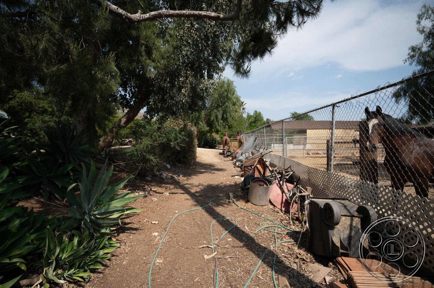 Ranch 6 - exterior, native plants, wooden fence, dirt pathway, chain link fence, horse corral, landscape vegetation, sunny day, agricultural environment, farmhouse setting