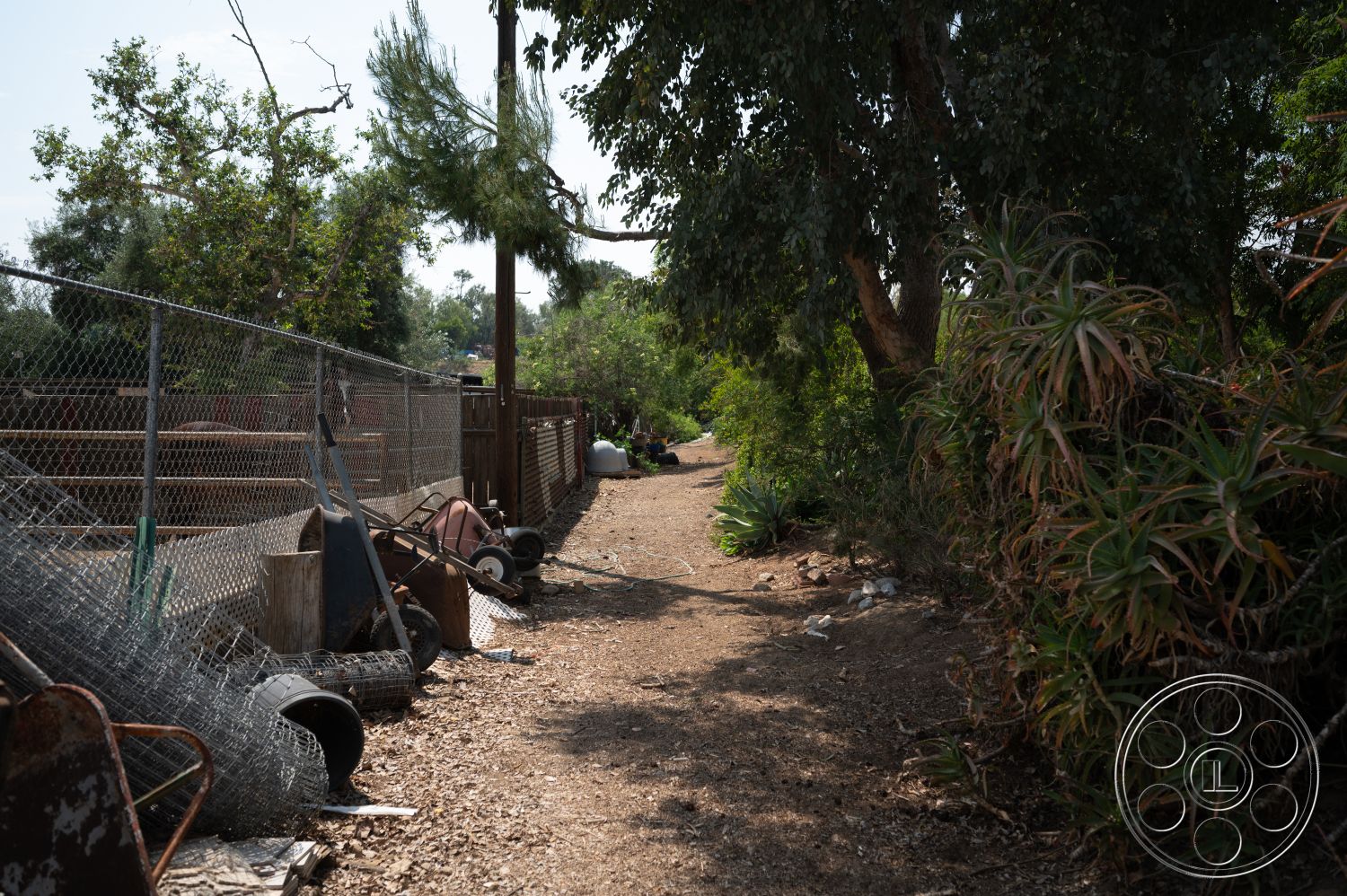 Ranch 6 - exterior, large trees, landscape plants, rural setting, dirt pathway, overgrown vegetation, chain link fence, wood fencing, garden debris