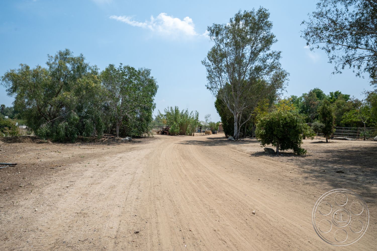 Ranch 6 - open space, surrounding trees, natural landscape, dirt road, rural environment, sunlit outdoor setting, vehicular path