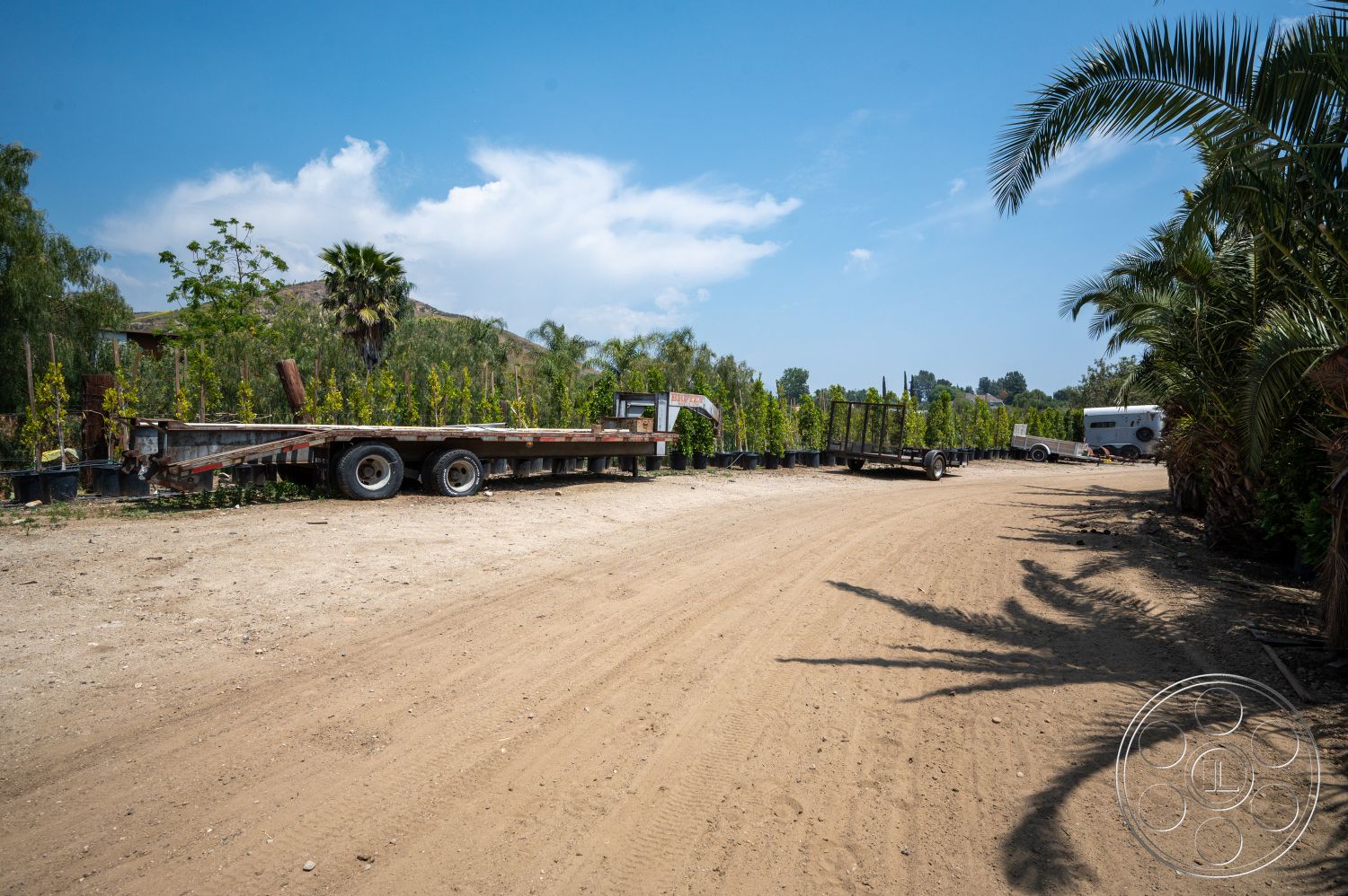 Ranch 6 - exterior, palm trees, potted plants, blue sky, gravel driveway, dirt road, sunny outdoor environment, trailer with dual axles, landscape nursery setting, shadow patterns from palm leaves