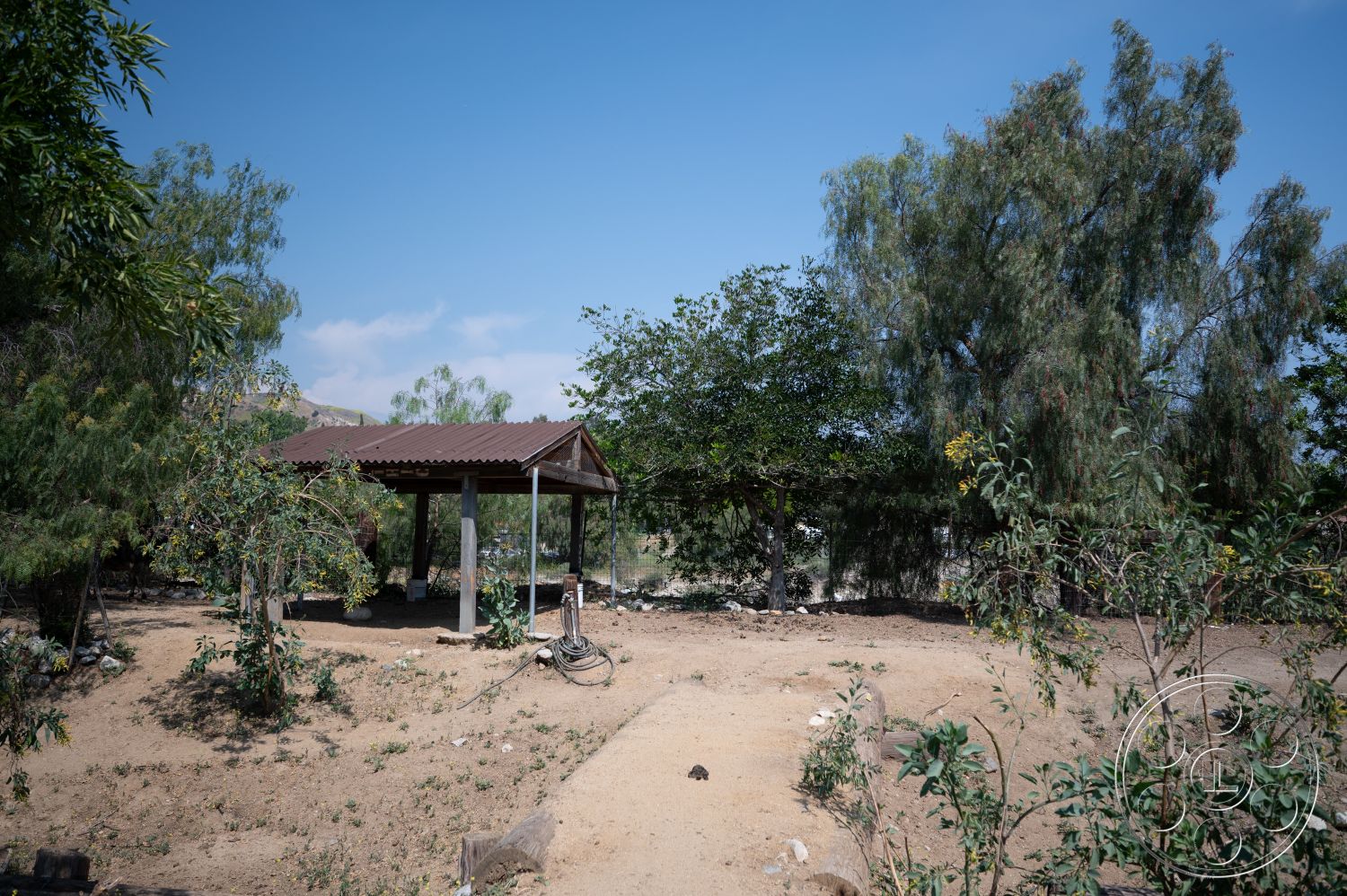 Ranch 6 - exterior, secluded backyard, metal roof, natural garden setting, greenery surrounding, open outdoor area, concrete support pillars, wood frame construction, dirt ground surface, landscape with shrubs, rustic gazebo design