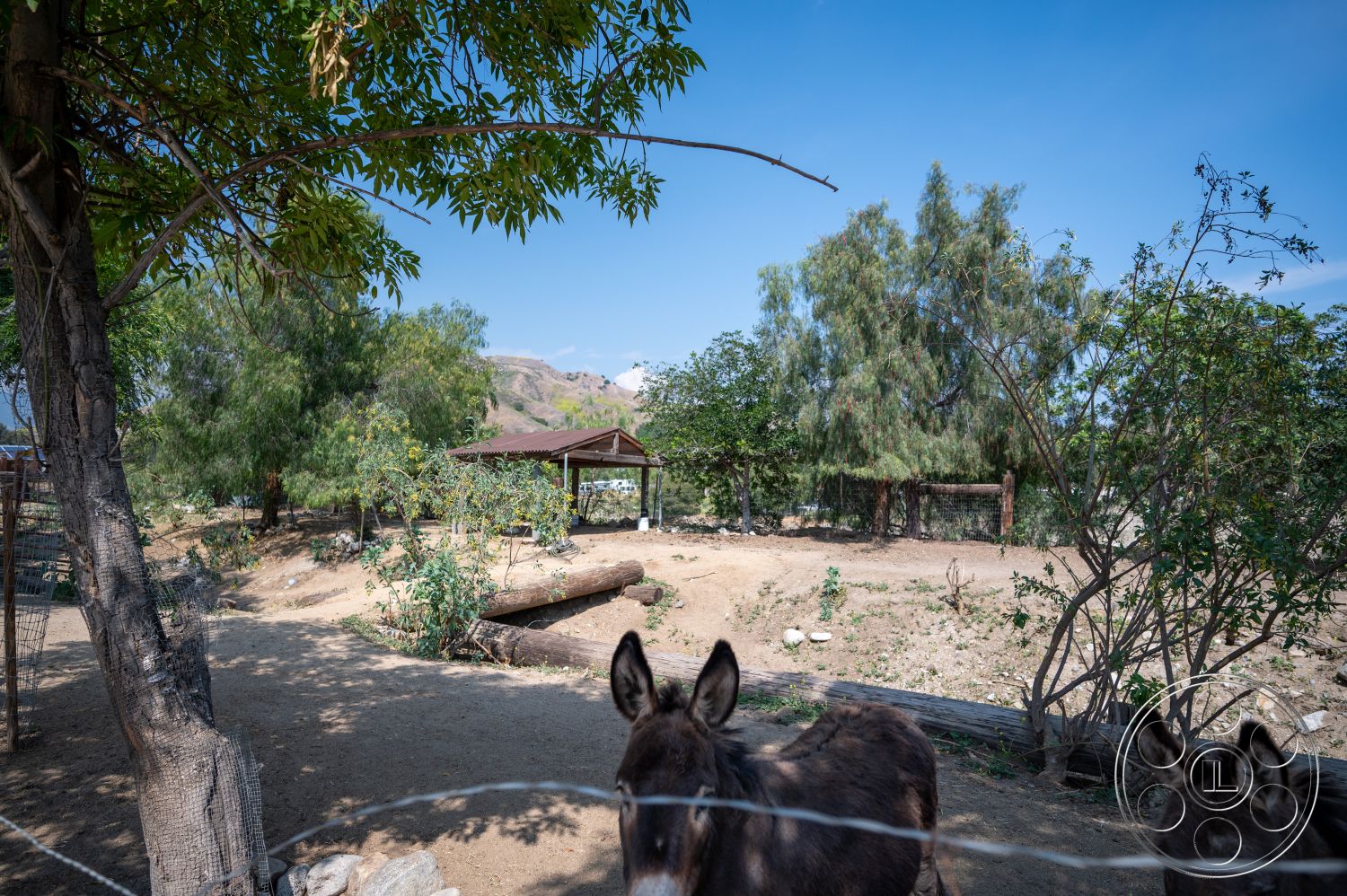 Ranch 6 - exterior, exposed wooden beams, wooden fence, lush green foliage, rural farmhouse setting, mountain view backdrop, native desert plants, dirt ground landscaping, wood pergola roof