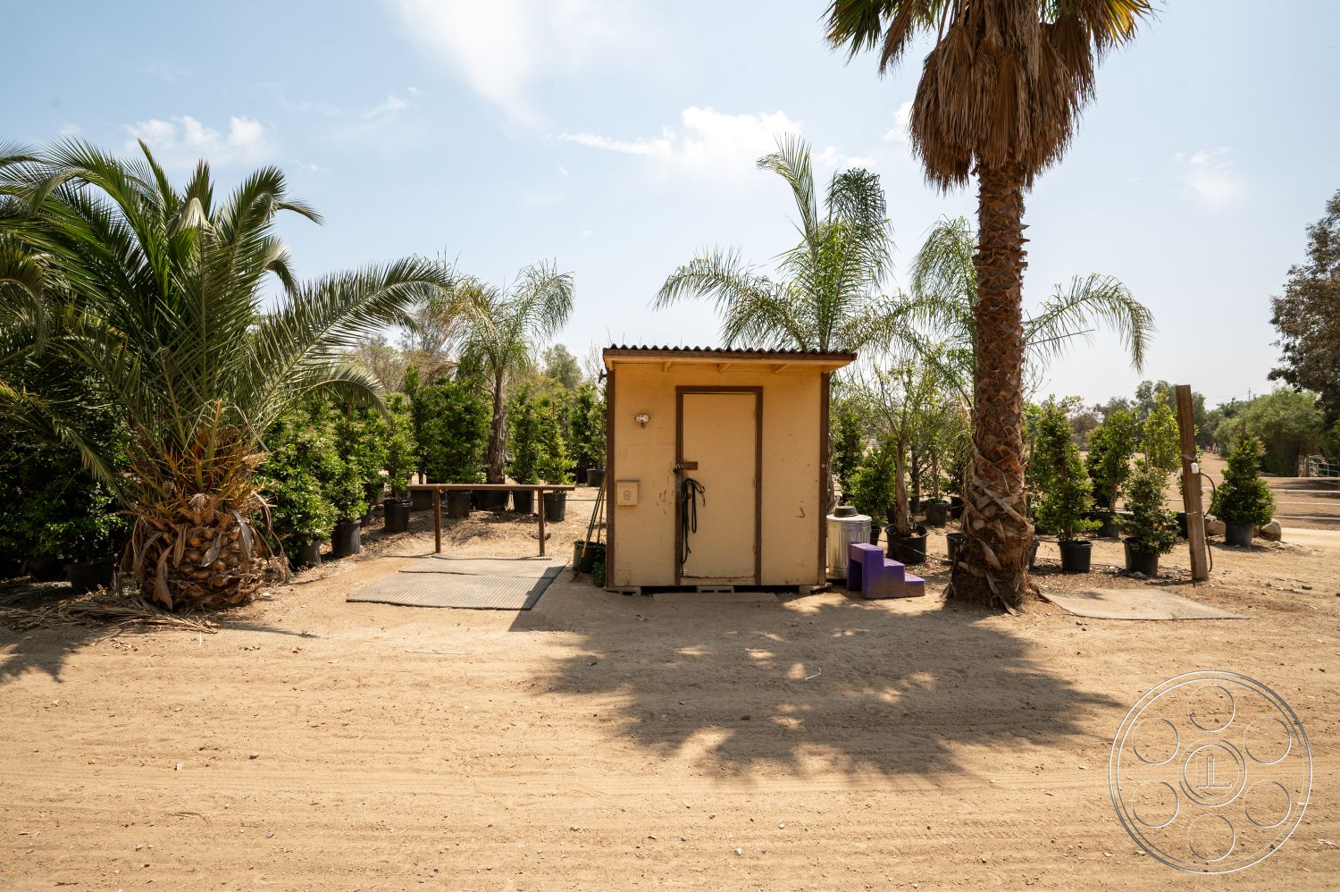 Ranch 6 - exterior, potted plants, outdoor setting, metal roof, dirt pathway, surrounding palm trees, landscaped shrubbery, concrete patio area, small storage building, painted wood door, steel table