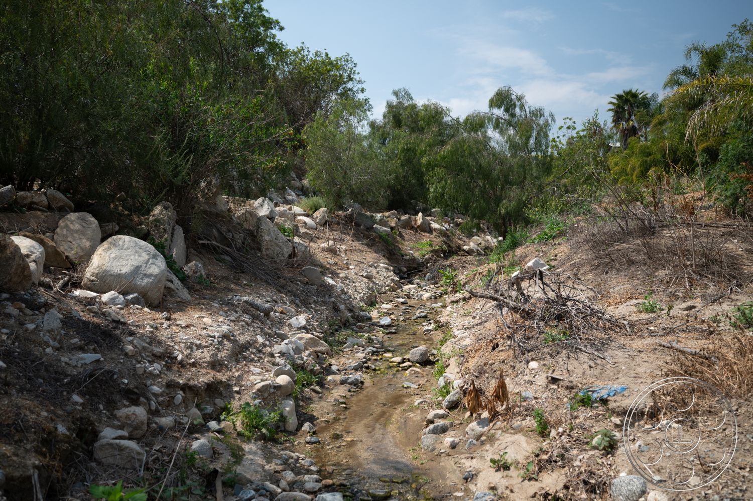 Ranch 6 - sunlight filtering through leaves, lush green foliage, natural landscape setting, overhanging trees, exposed boulders along creek bed, natural gravel bank, stream with visible water flow, dry brush and shrubs, jungle-like habitat