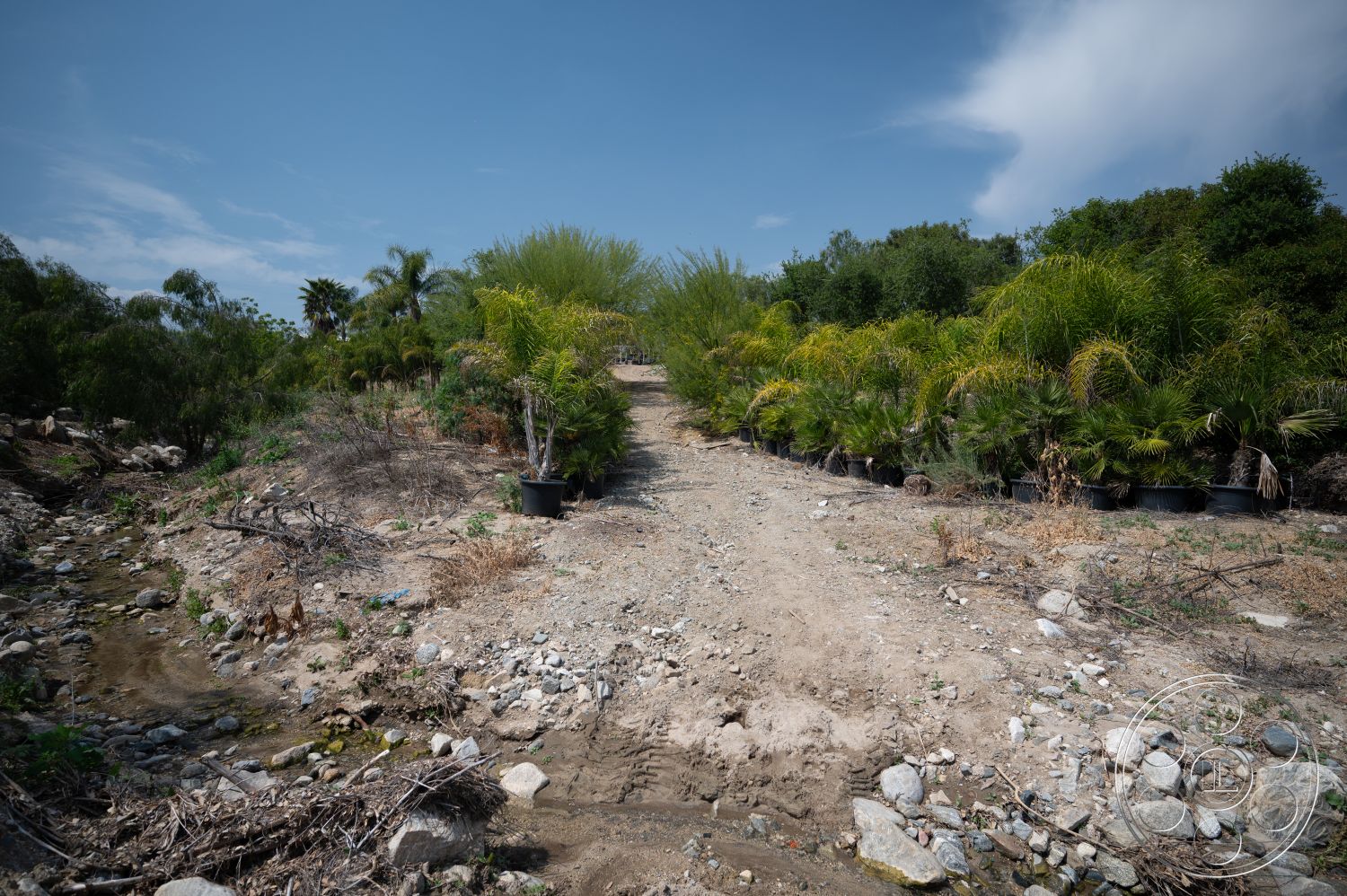 Ranch 6 - exterior, vegetation, lush greenery, natural landscape, dirt pathway, scattered rocks, potted palm trees, dry creek bed