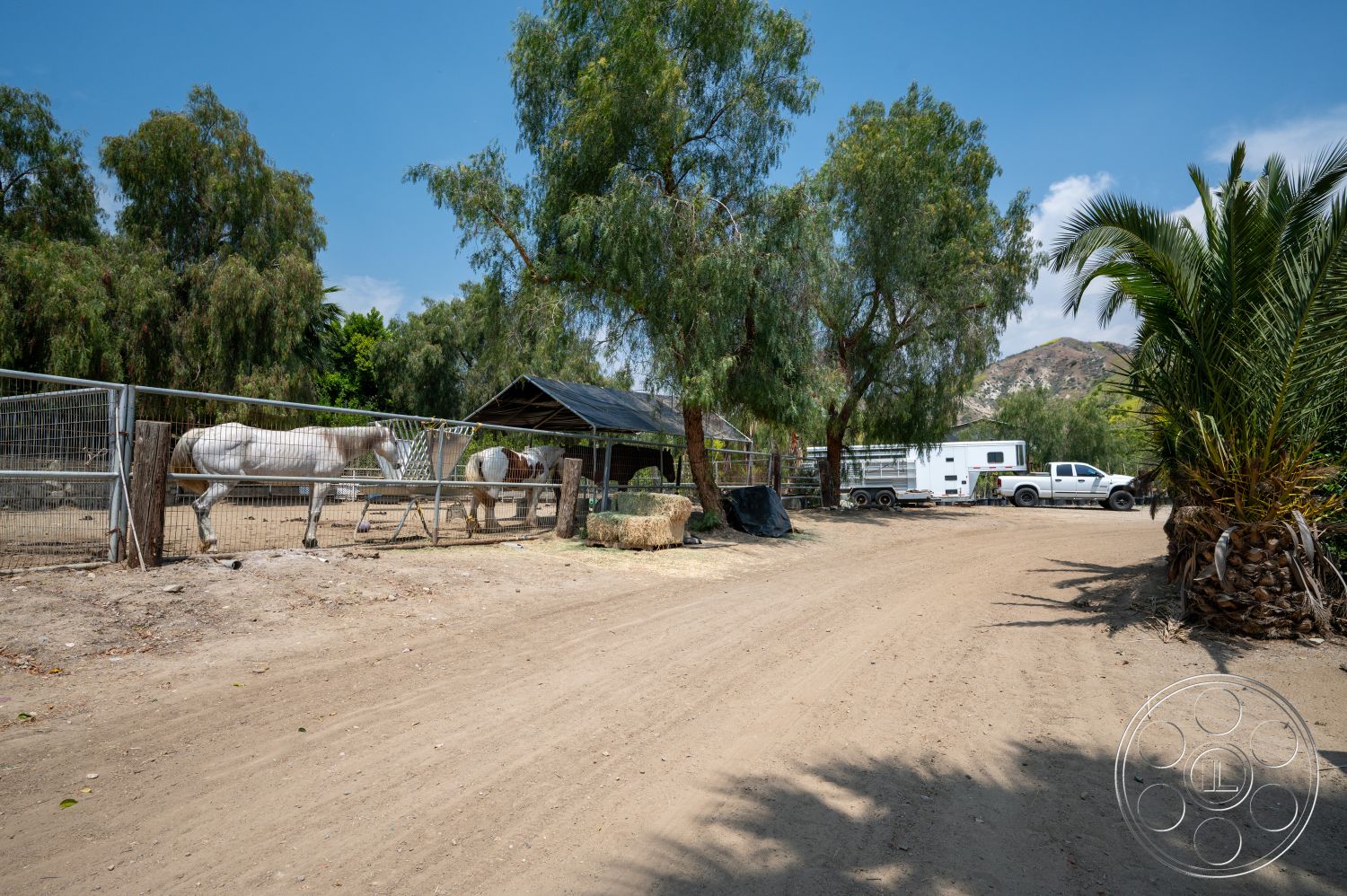 Ranch 6 - exterior, palm trees, mountain backdrop, dirt driveway, open pasture area, wooden horse fence, metal shelter roof, hay bales for horse feeding, sprawling trees, horses in paddock, outdoor stable, suburban ranch setting