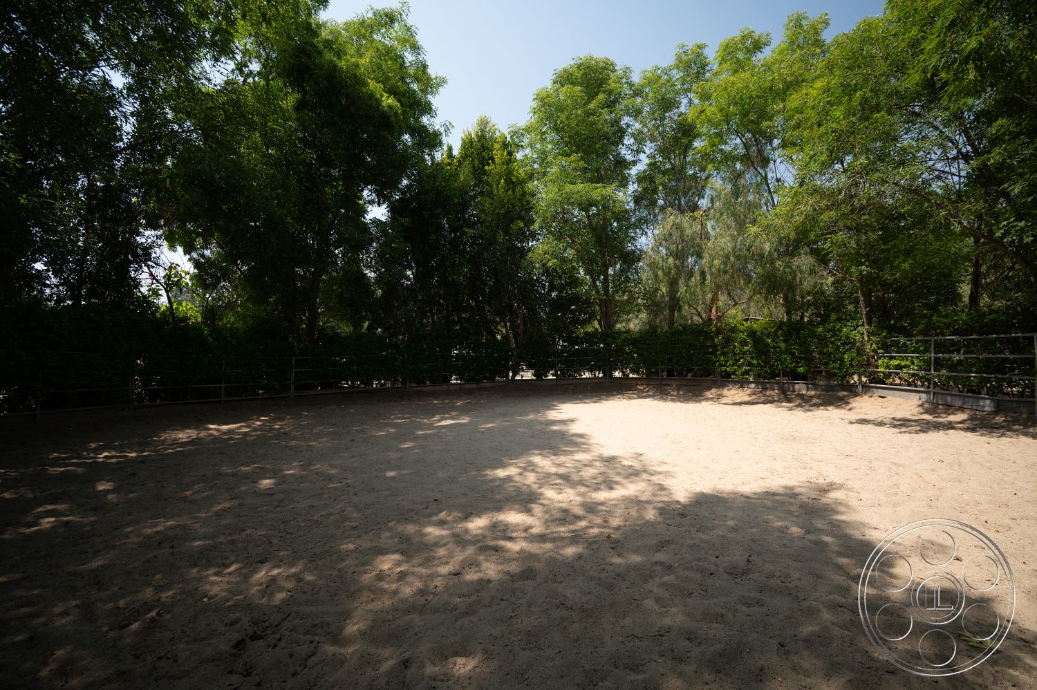 Ranch 6 - natural landscaping, surrounding trees, outdoor setting, sand riding arena, fencing around arena