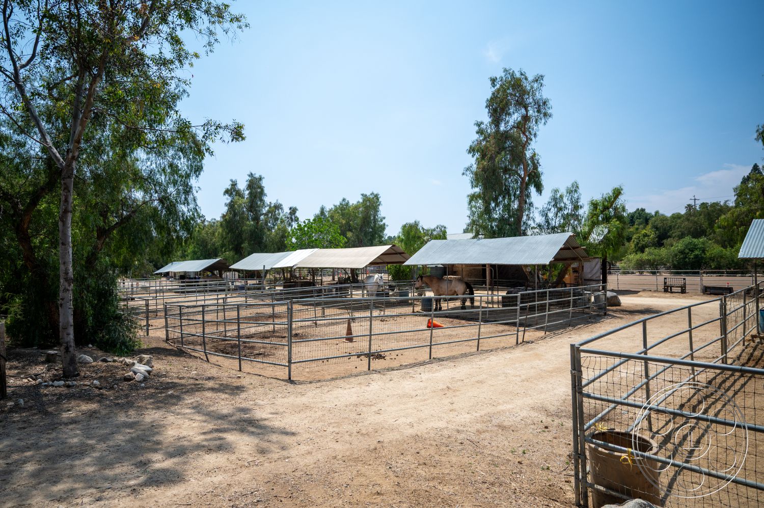 Ranch 6 - exterior, gravel pathway, eucalyptus trees, perimeter fencing, metal horse stalls, wooden shade structures, dirt paddock surface, open farmland setting, sunny rural environment