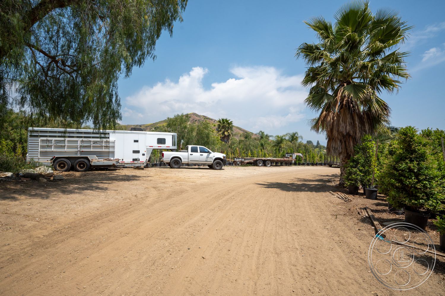 Ranch 6 - palm trees, dirt pathway, mountainous background, landscaped garden area, potted shrubs, exterior landscape setting, blue sky with scattered clouds, trailer with corrugated metal siding, pickup truck