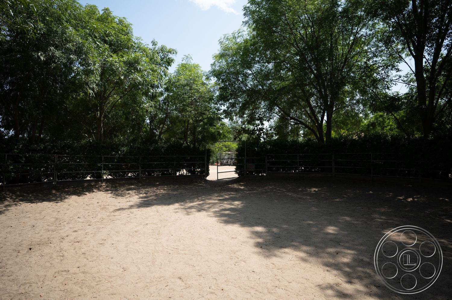 Ranch 6 - exterior, natural landscape setting, sandy arena surface, metal horse fence, leaved trees