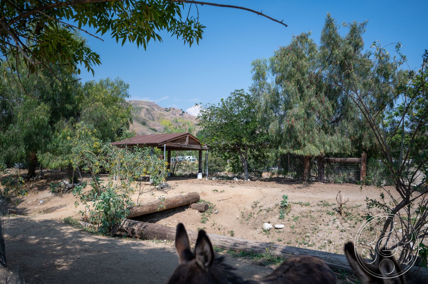 Ranch 6 - exterior, surrounding trees, natural landscape setting, open sky view, wooden shelter, steel roof structure, dirt ground area, partial log fence, hills in background