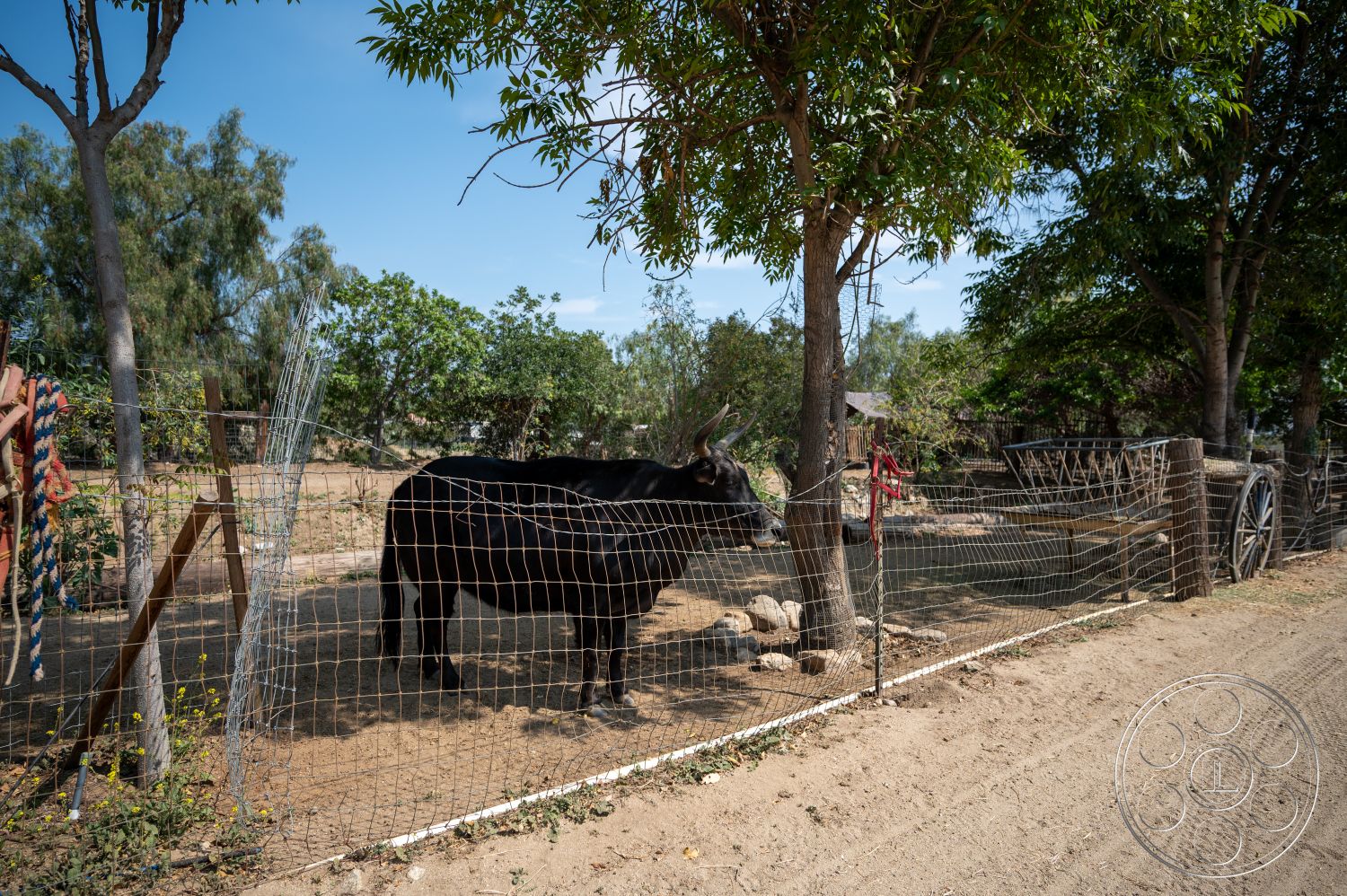 Ranch 6