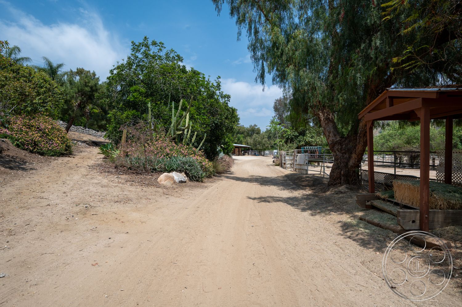 Ranch 6 - native plants, mature trees, natural landscape, rural setting, dirt pathway, outdoor environment, landscaped garden area, fenced animal enclosure, wooden structure for shelter