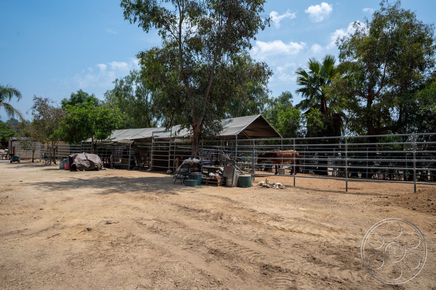 Ranch 6 - exterior, palm trees, eucalyptus trees, outdoor storage containers, metal horse fencing, open pasture area, dirt paddock surface, tarp-covered horse shelter