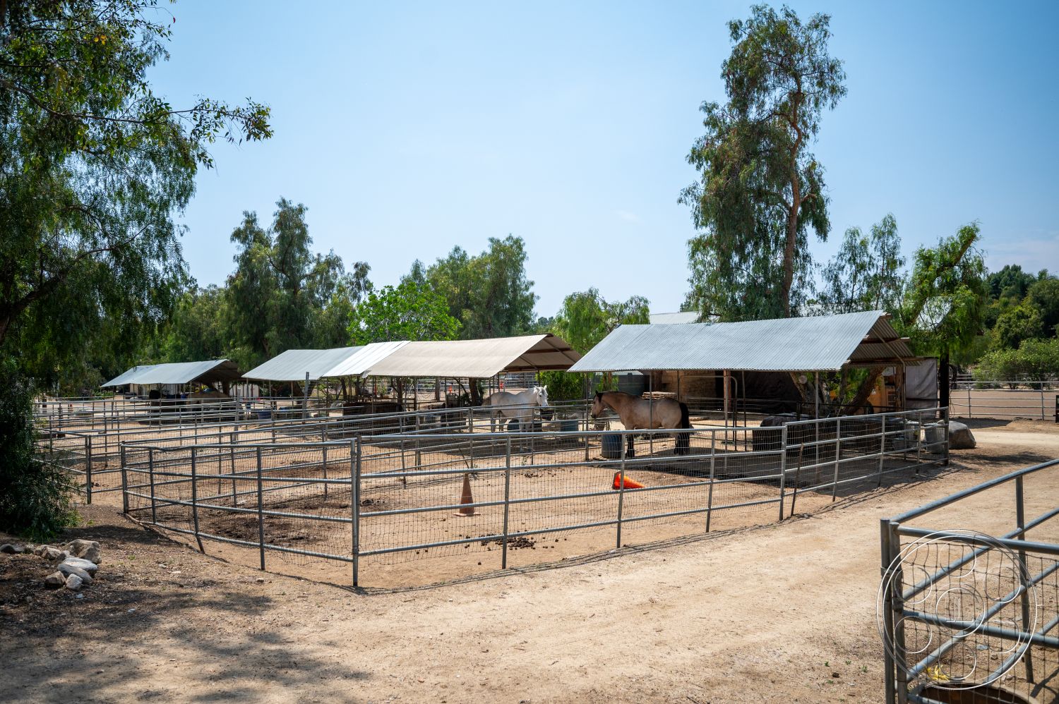 Ranch 6 - wooden beams, eucalyptus trees, sunny outdoor environment, dirt paddock flooring, exterior horse stable structures, metal roof canopies, fenced horse pens, open rural setting