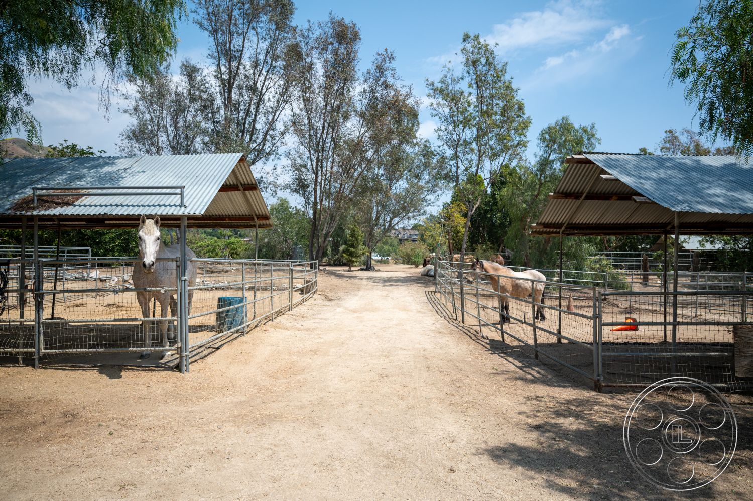 Ranch 6 - exterior, surrounding trees, dirt pathway, rural landscape, sunlit outdoor setting, open pasture area, metal roof horse shelter, wooden paneling horse stalls, fenced horse enclosures, horses in stalls