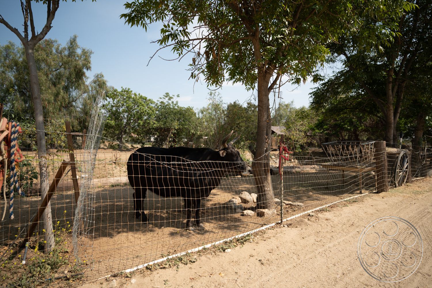 Ranch 6
