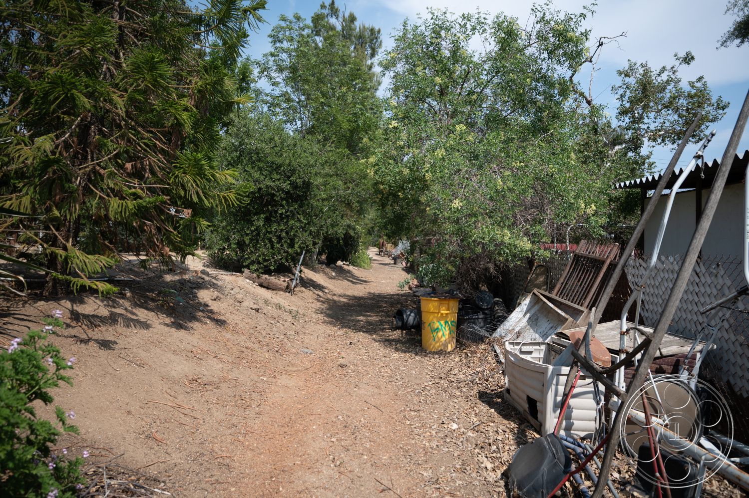 Ranch 6 - tree canopy, natural landscape, wooden fence, gravel ground, dirt pathway, residential backyard setting, thick vegetation, discarded metal items, yellow trash bin, overgrown shrubs, rusty metal structures