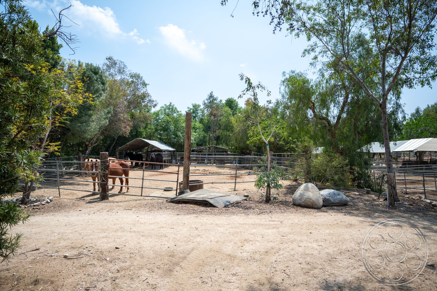 Ranch 6 - exterior, natural landscaping, dirt path, rural environment, farm setting, lush green trees, scattered boulders, wooden fence posts, metal roof structure, metal horse fencing, open pasture area, covered shelter roof, synthetic animal feed trough